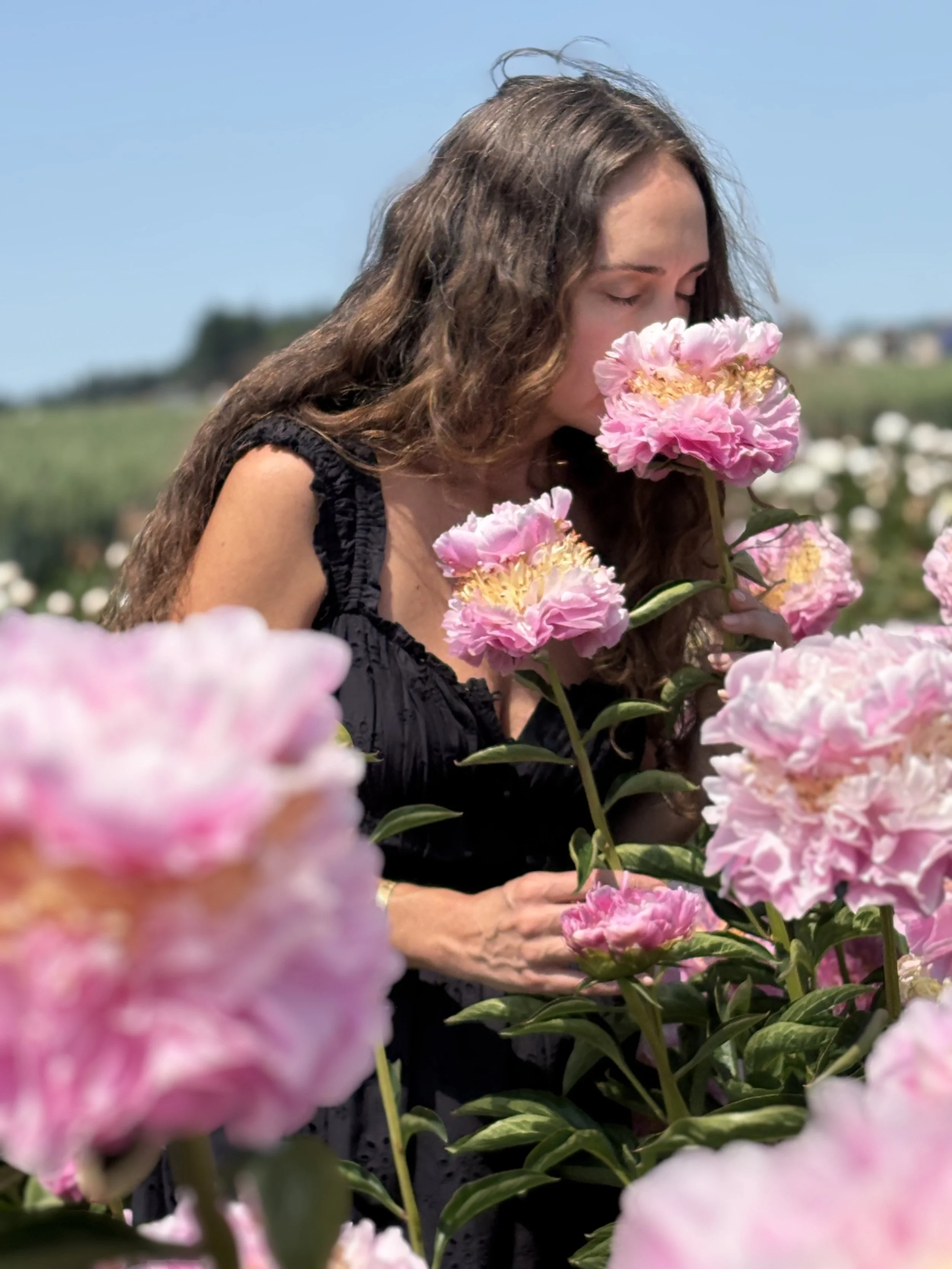 Field Trip to Adelman Peony Garden (Free Event)