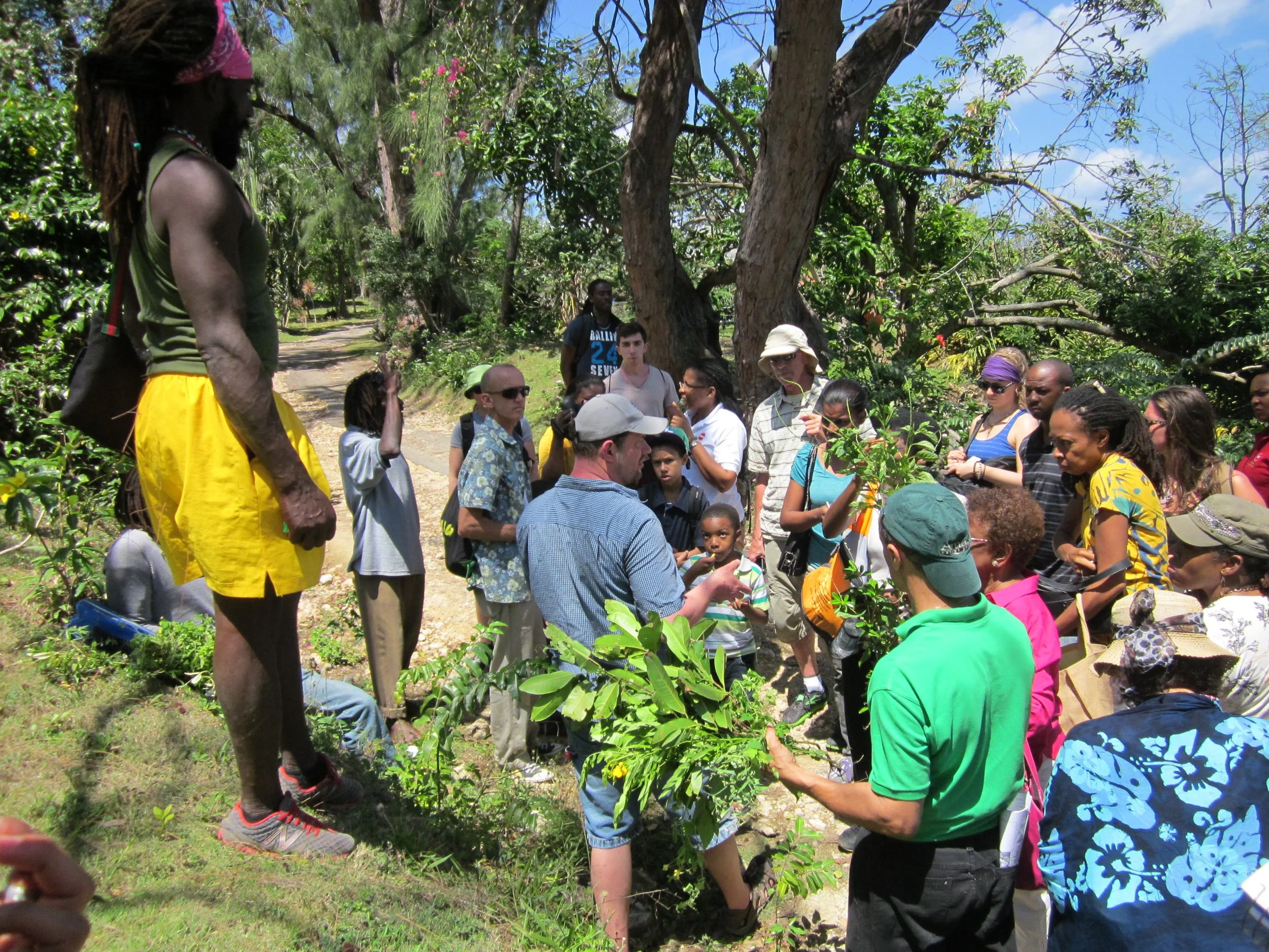 Herb walk in Jamaica - students from Kingston and the U.S.