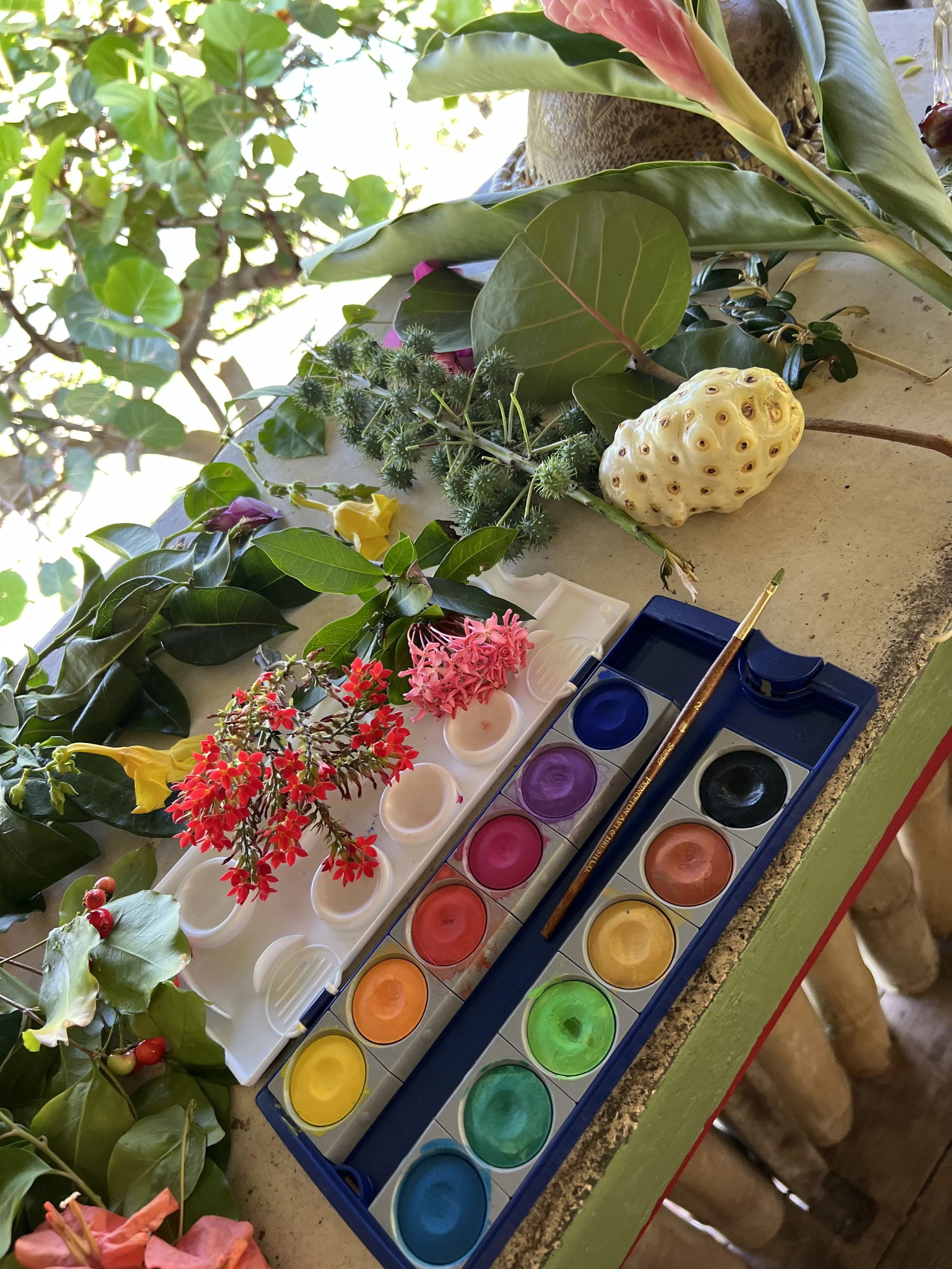 Watercolor paint set with a paintbrush, surrounded by colorful flowers, leaves, and botanical objects on a windowsill.
