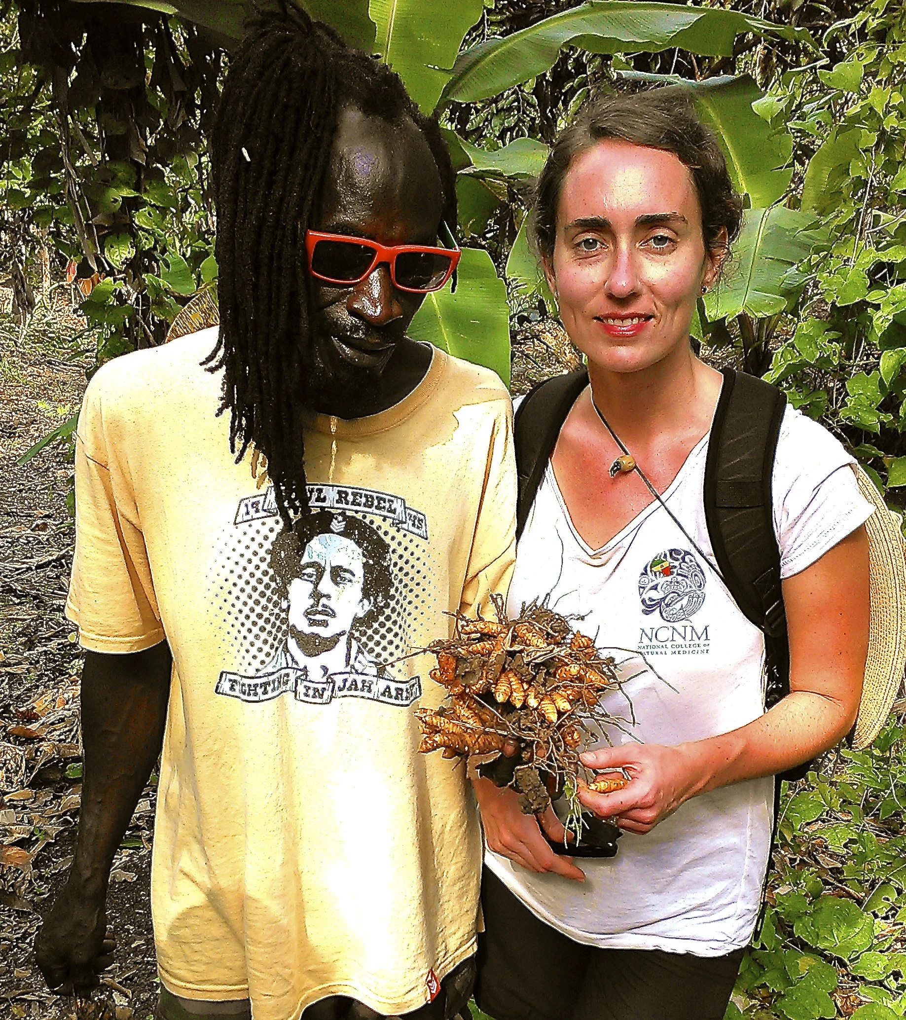 Hilary and Grant harvesting turmeric in Jamaica