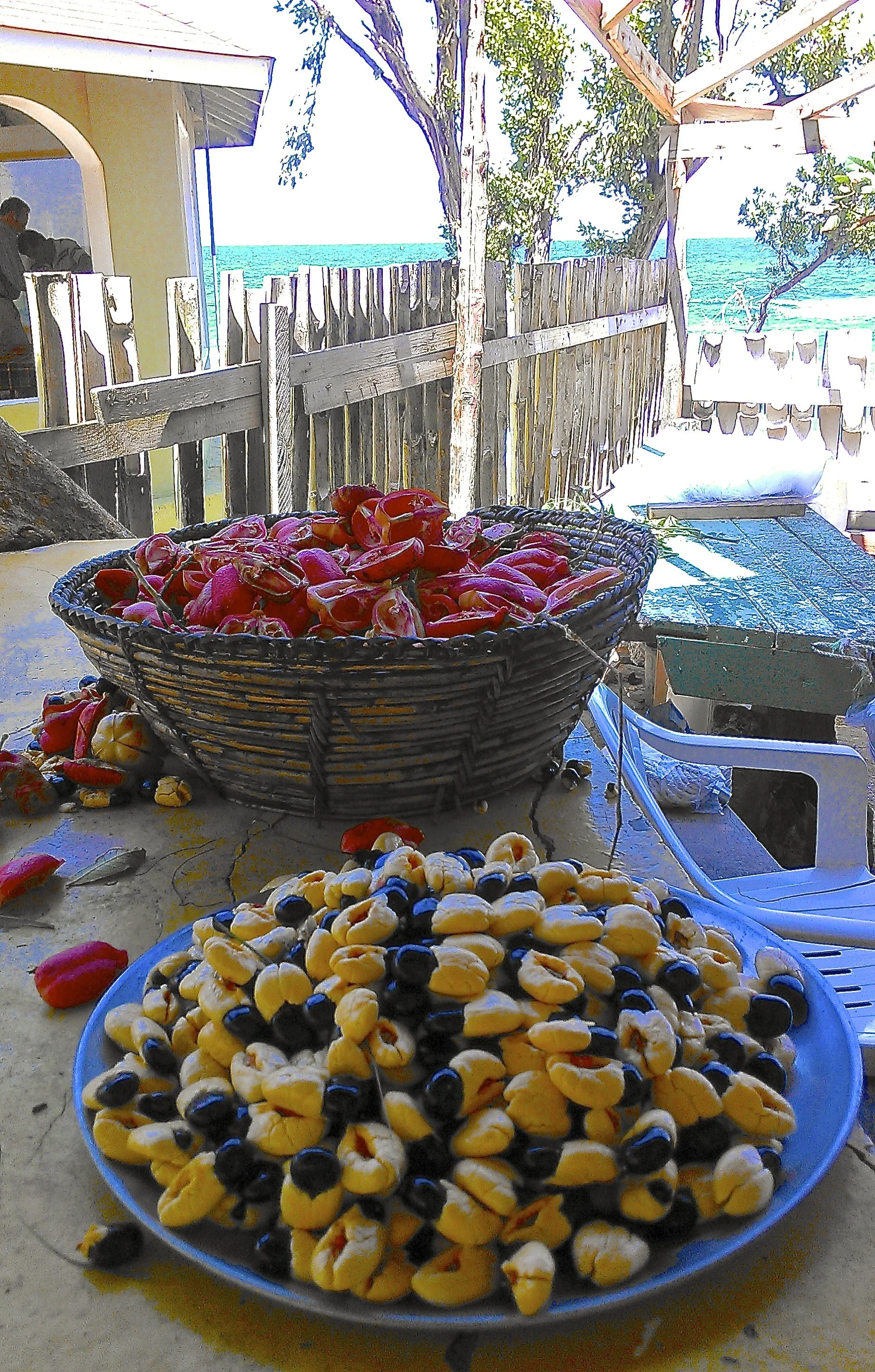 Ackee fruit