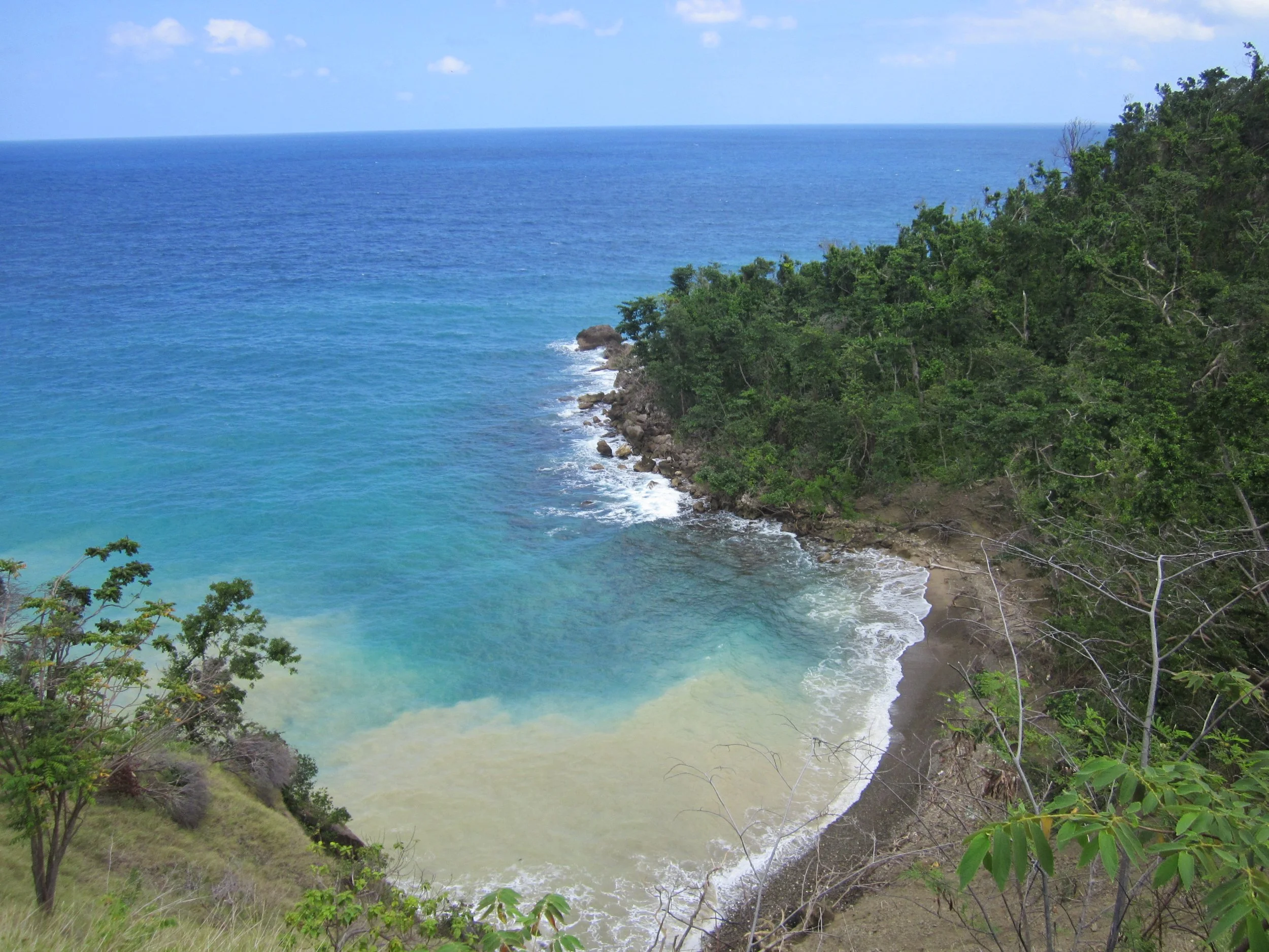 Jamaica cove