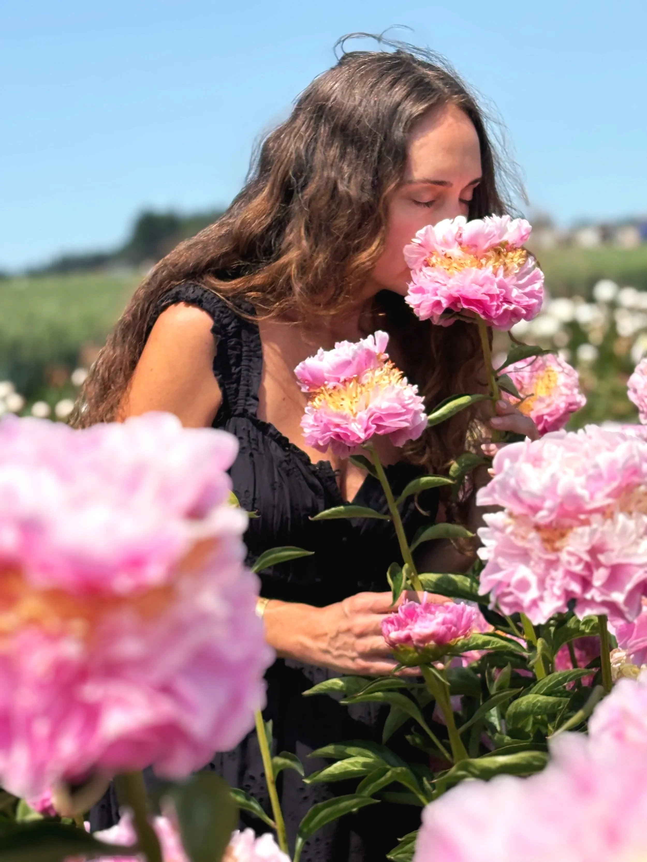 Field Trip to Adelman Peony Garden (Free Event)