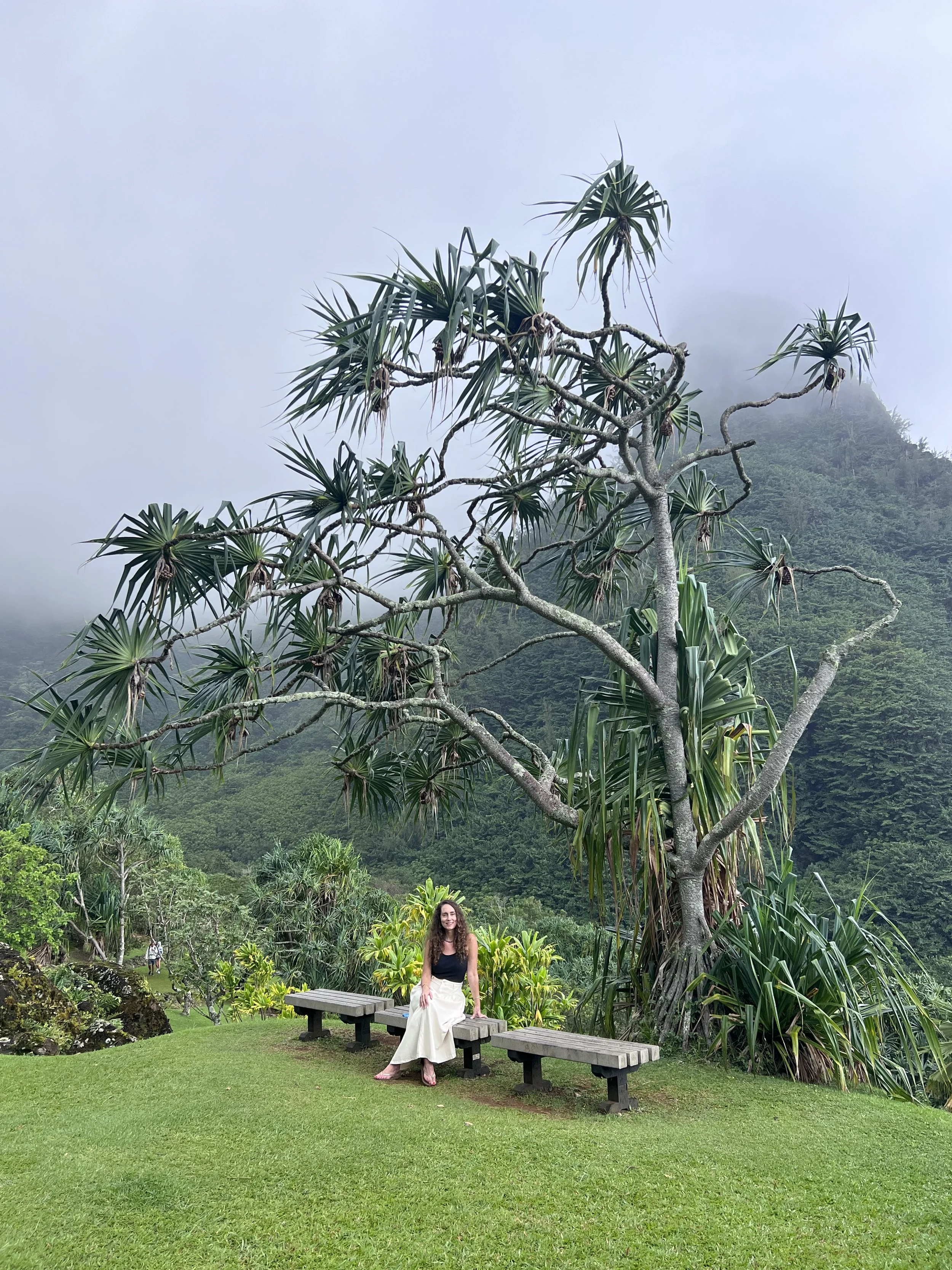 A woman sitting on a bench in a lush green park with a large tropical tree and misty mountains in the background.