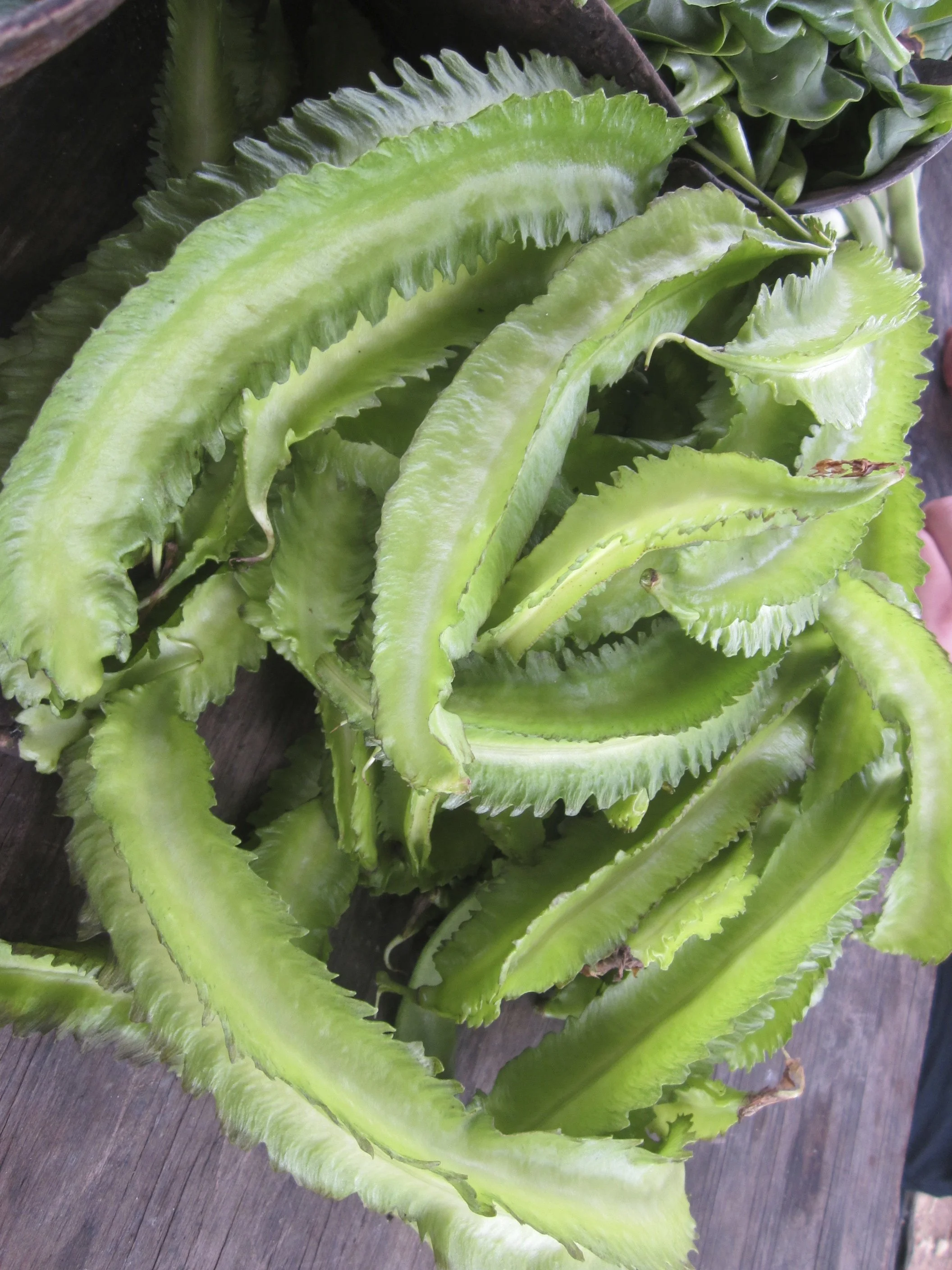 wing beans for Ital stew