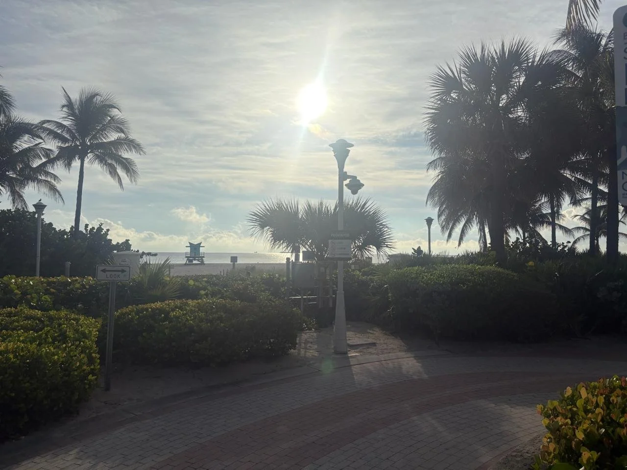 Jealousy’s Fourth Arm: Rejection