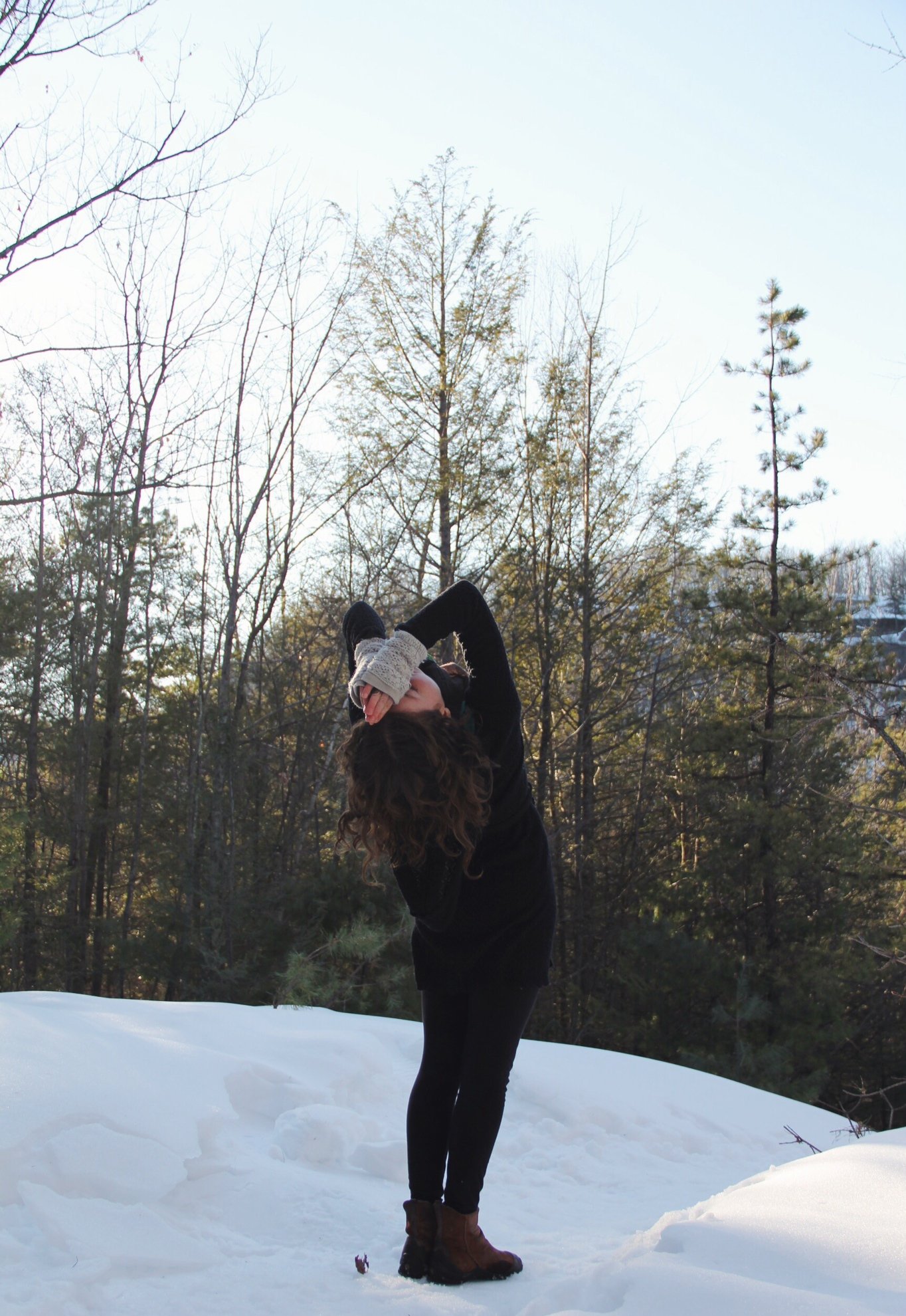 The Restful State: Payment Plan