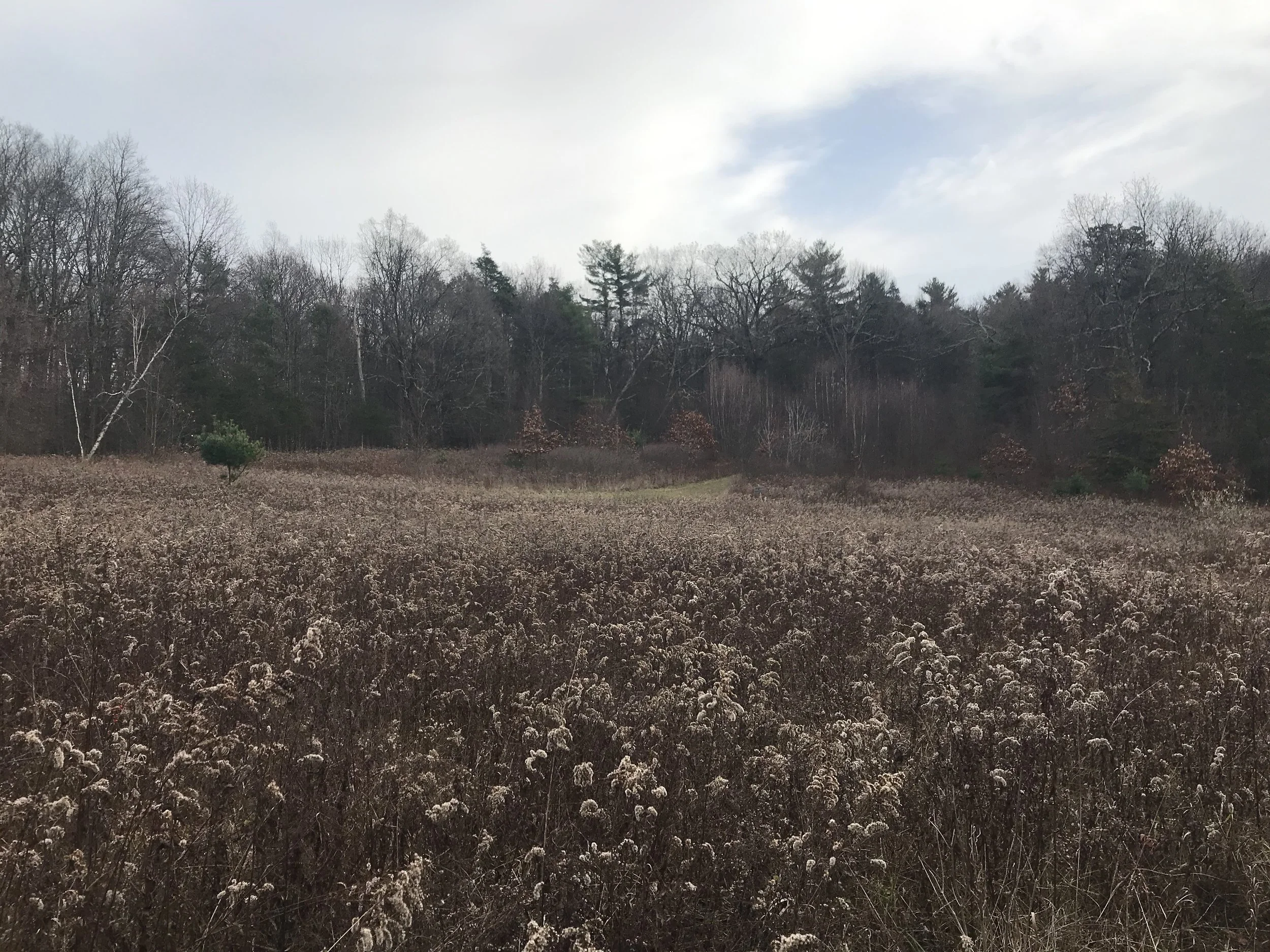 Tending to the Bones