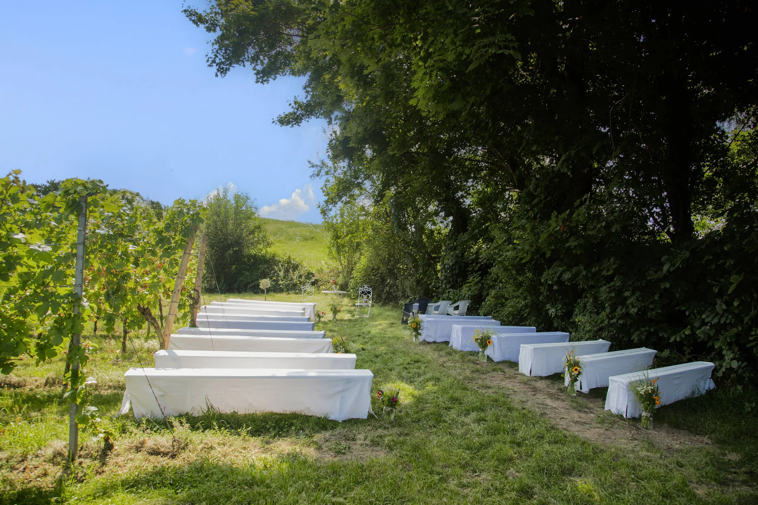 In einem Feld stehen mehrere weiße Stühle nebeneinander.