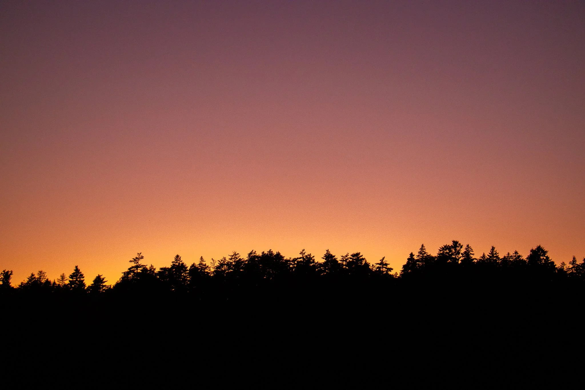 SPT September-20.jpg