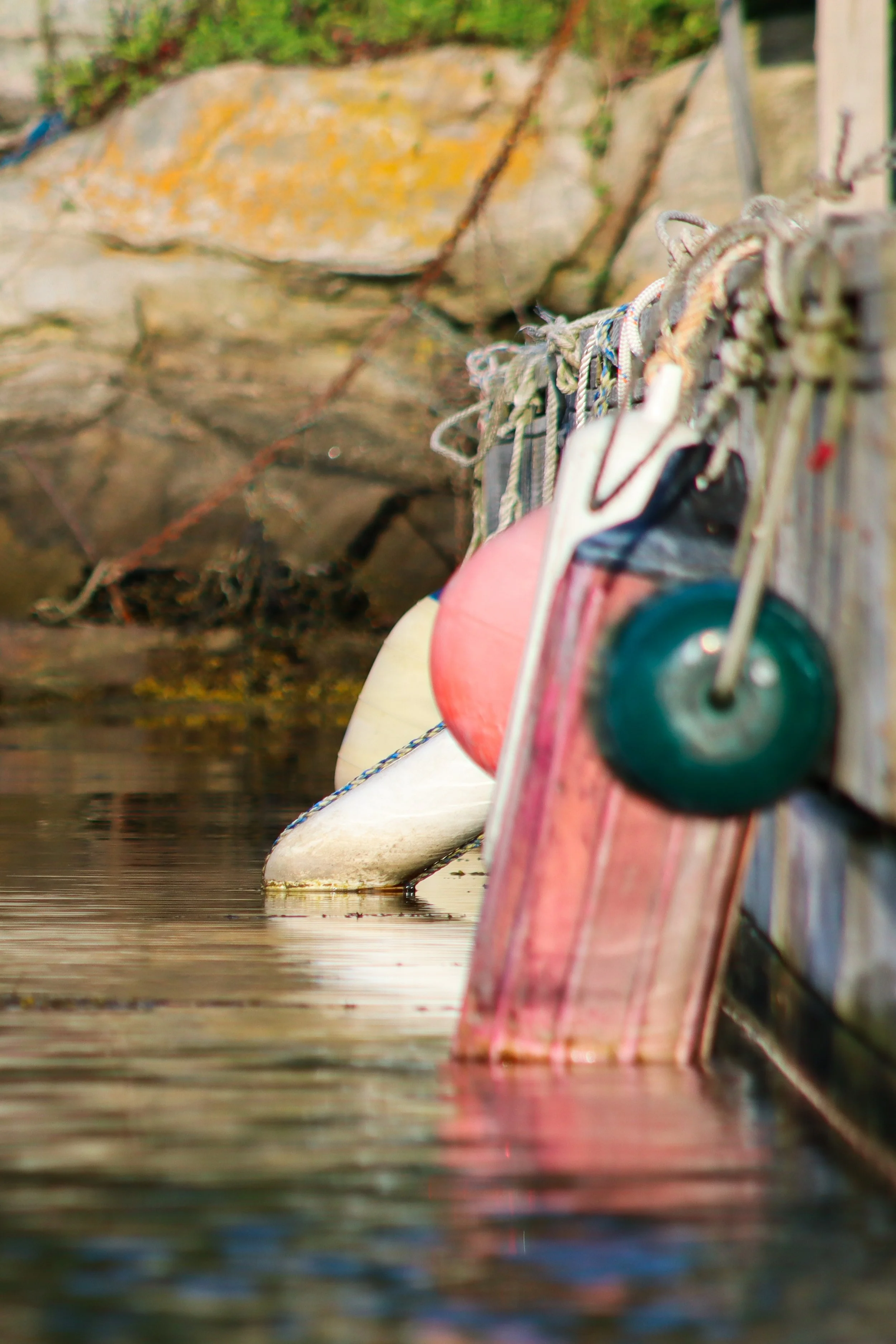 7_4_25 Wiscasset-06.jpg