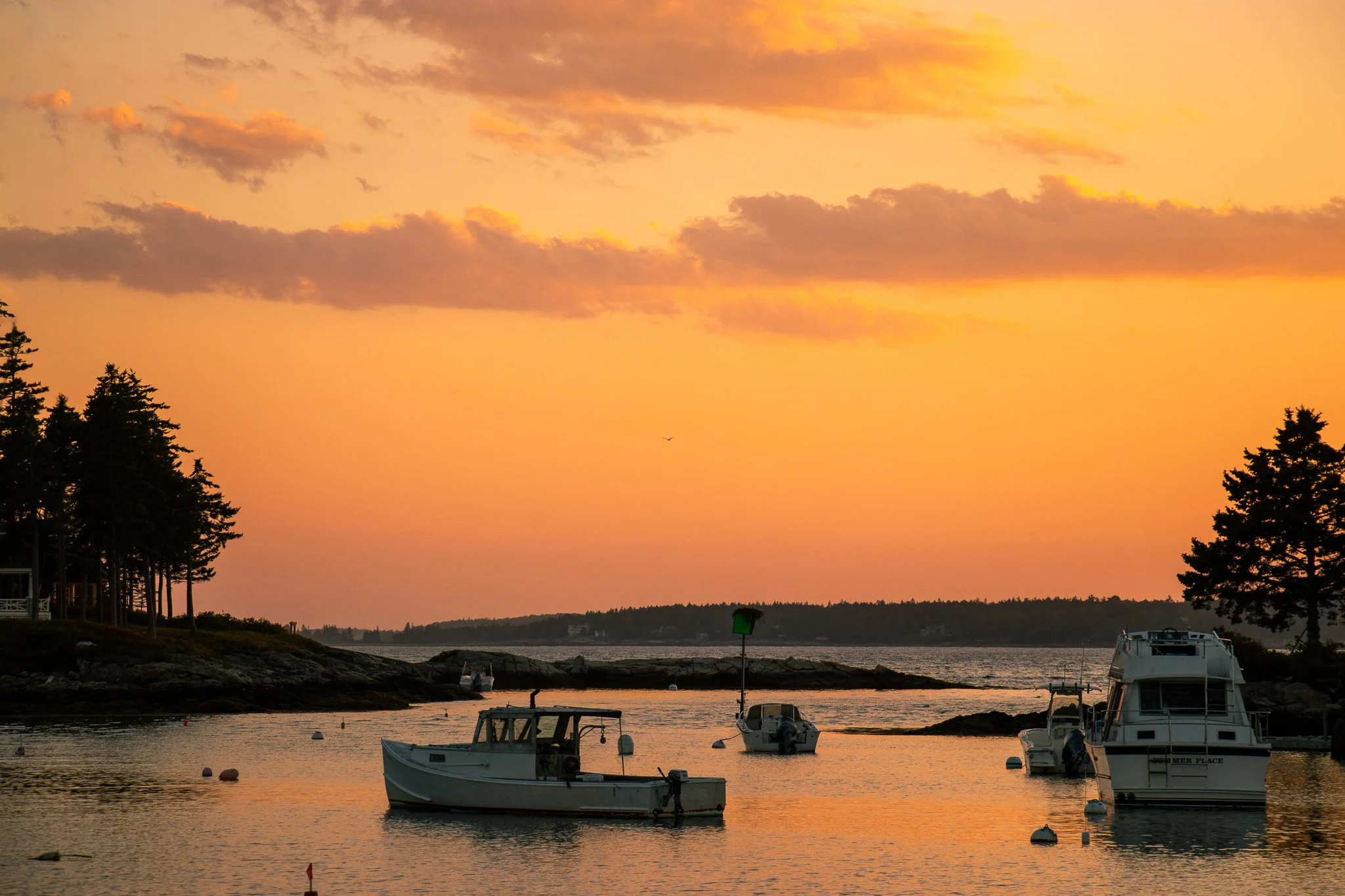 SPT September-15.jpg