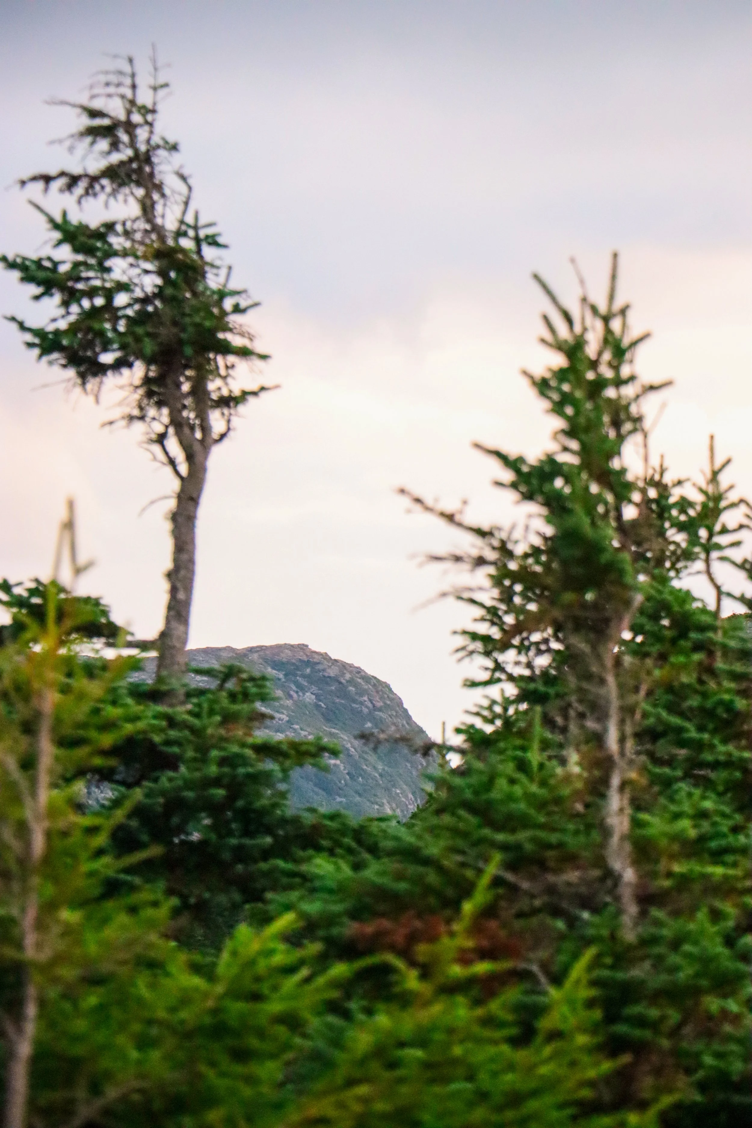 Butler Lodge Overnight best ones-08.jpg