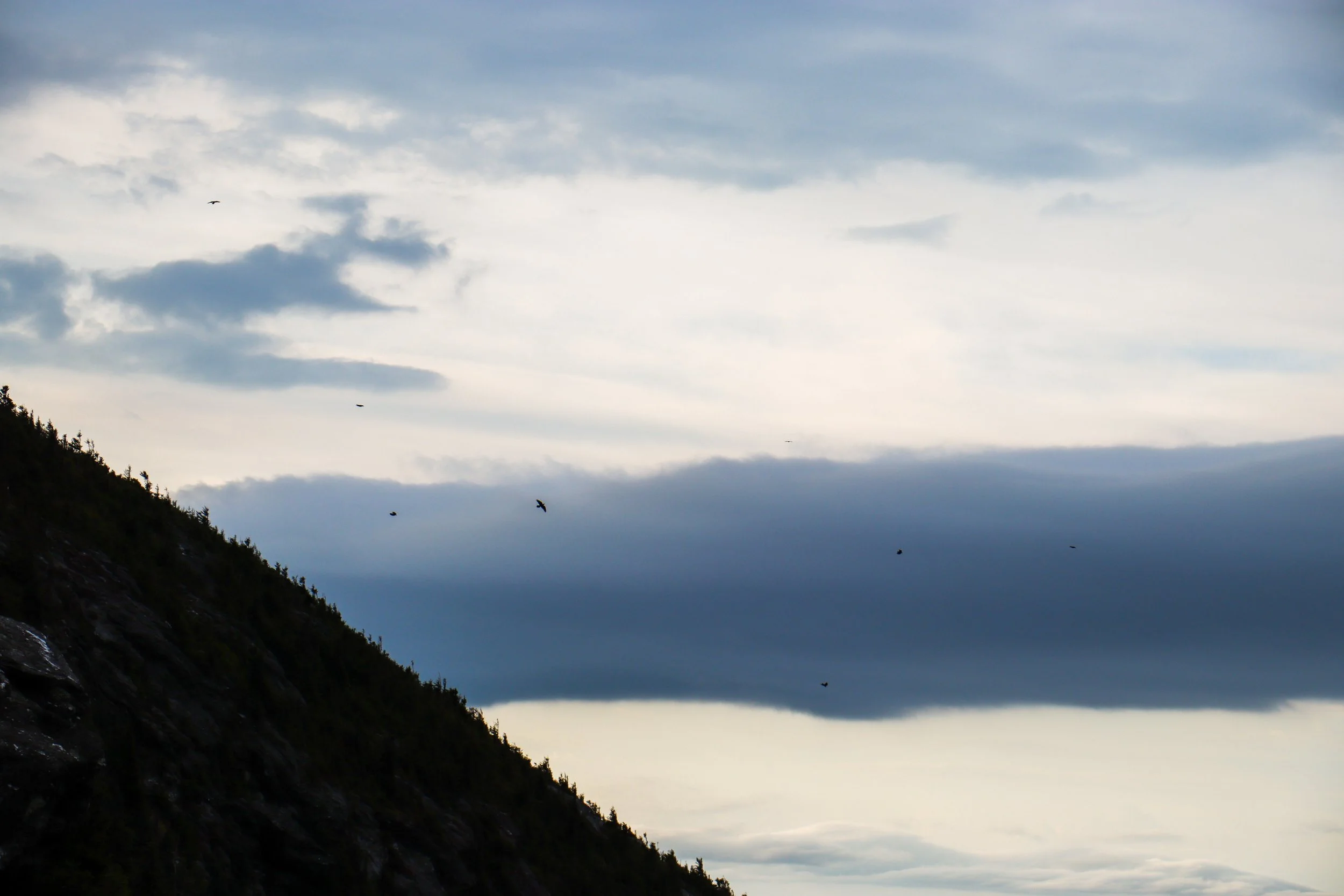 Butler Lodge Overnight best ones-17.jpg