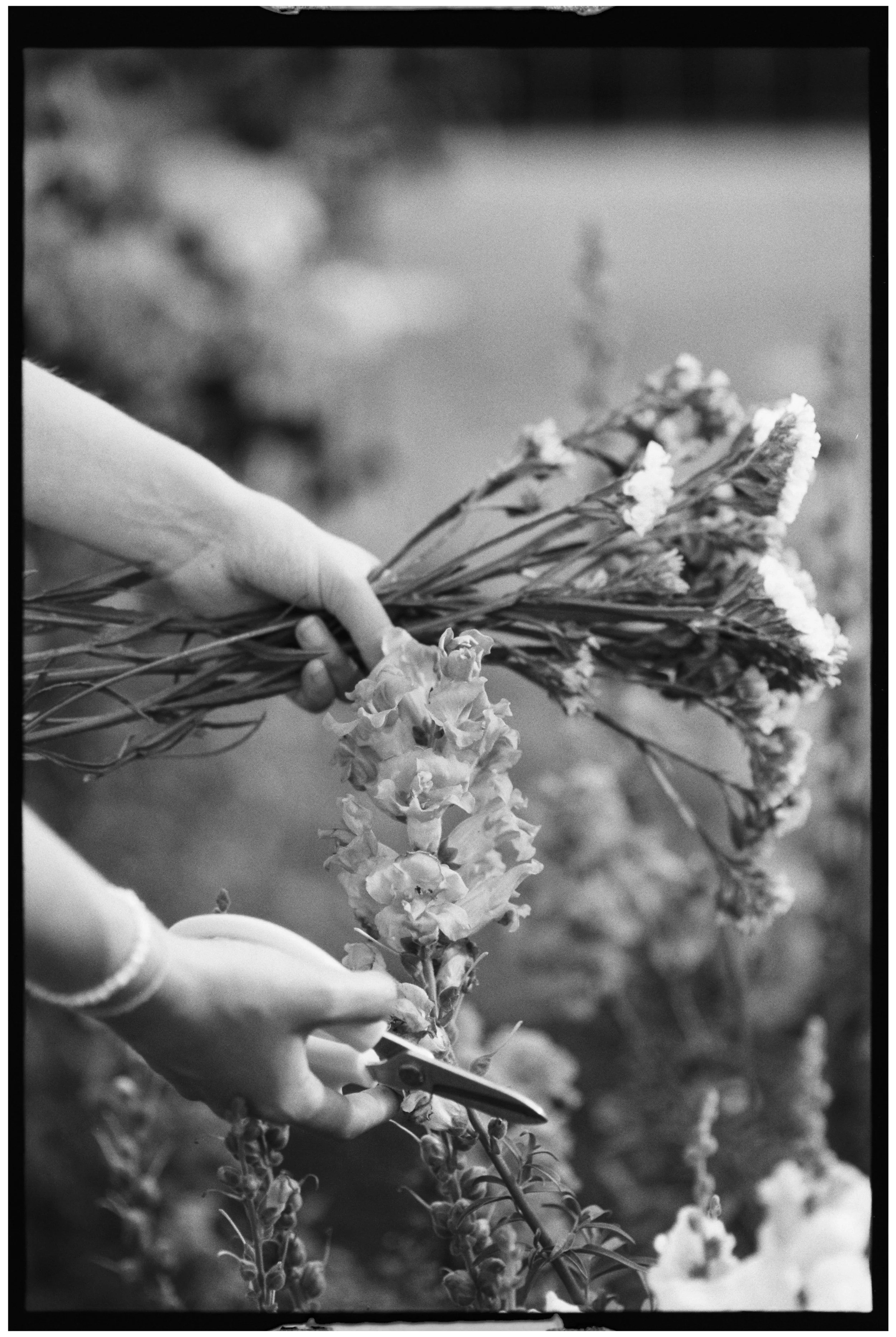 IMG_5158 2.JPG (Copy)