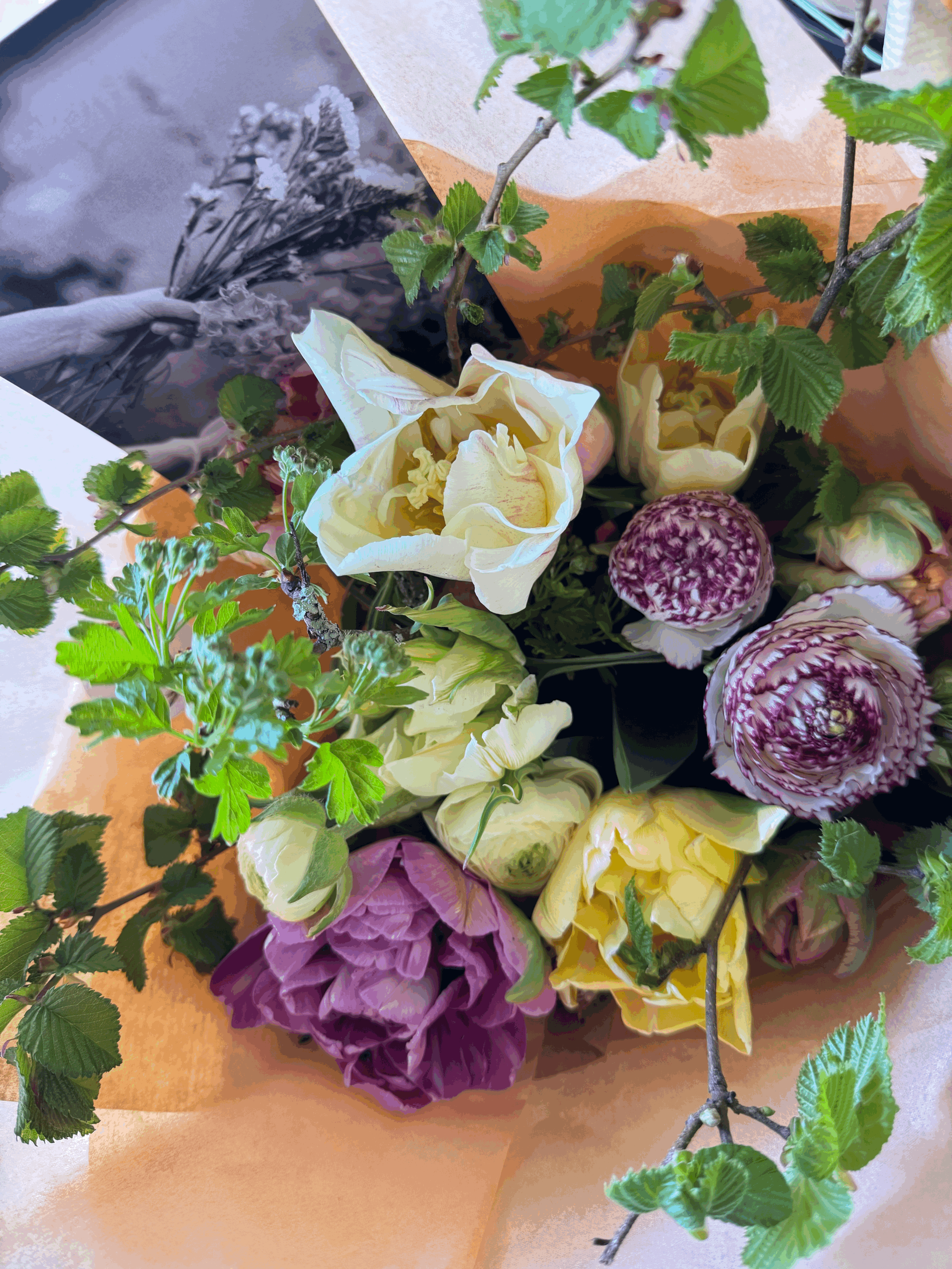 Subscription - 3 Months