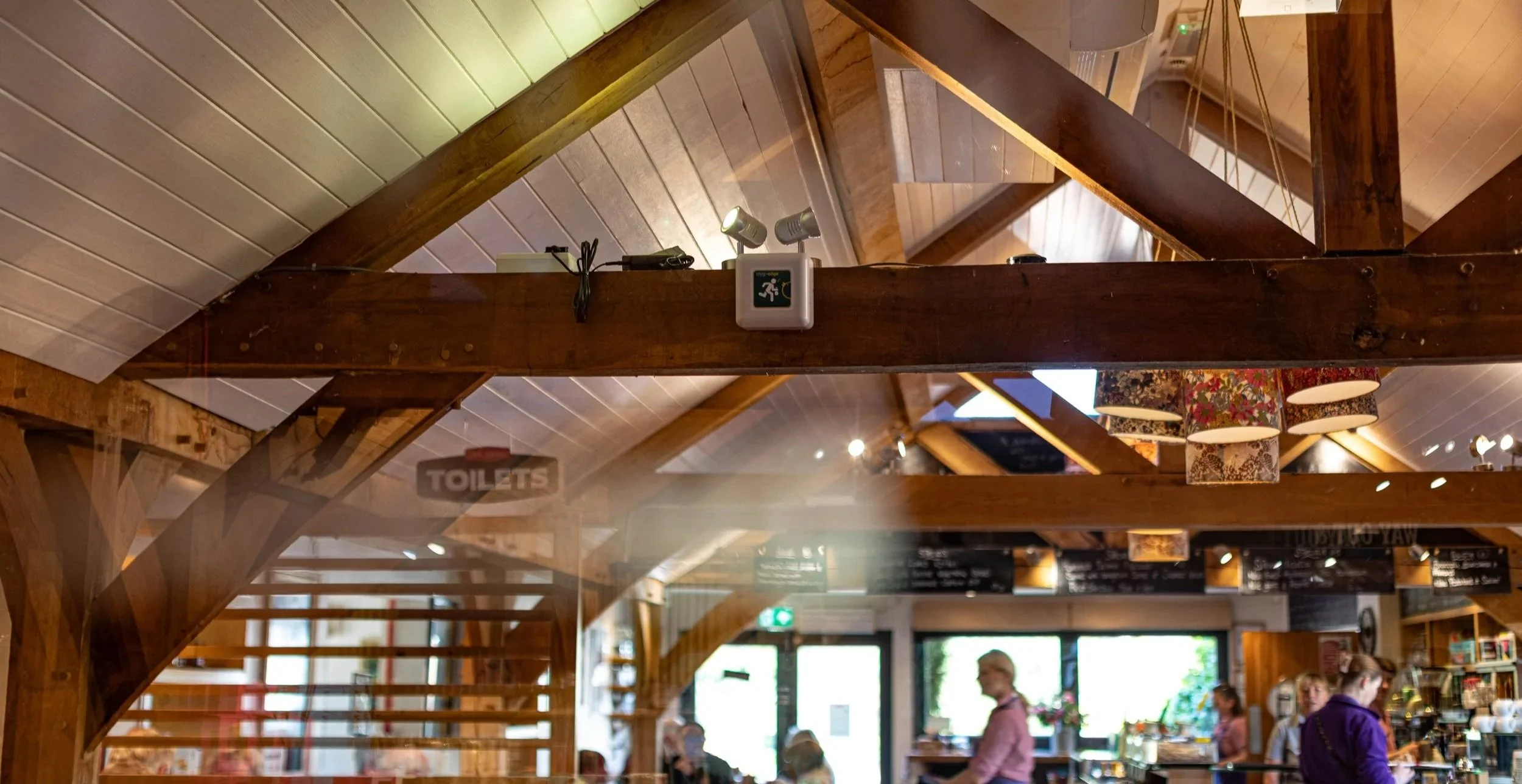 Close-up of a colorful gecko with vibrant blue, red, yellow, and orange scales, mouth open, on a blue surface with blue background.