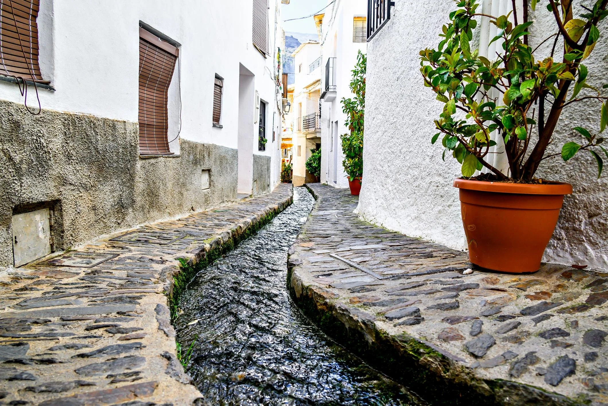 pampaneira.jpg