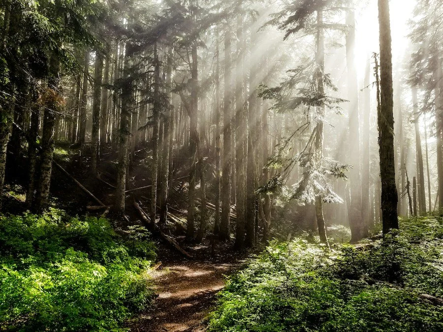 Il viaggio dell’eroe: attraversare le proprie ombre per rinascere