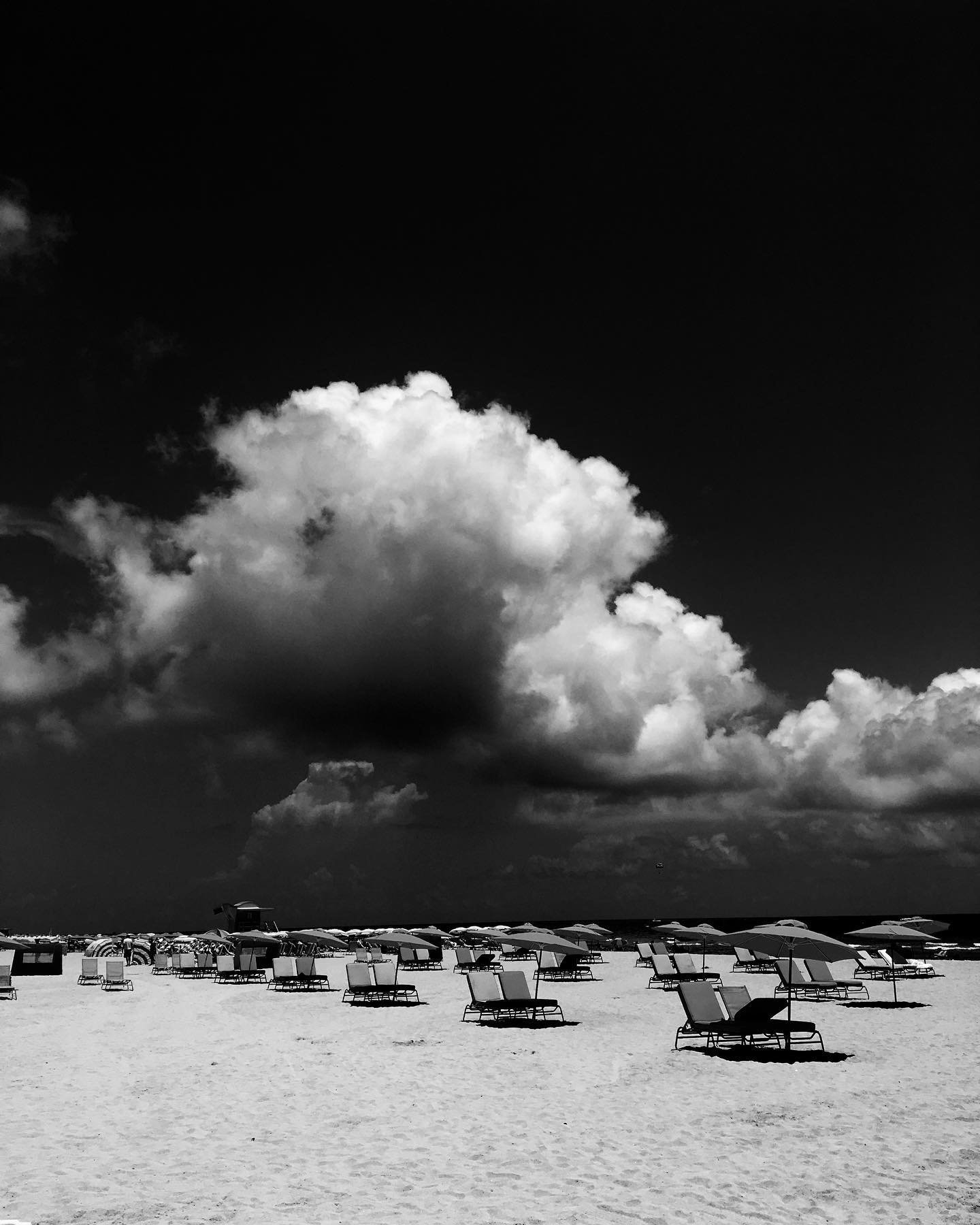 .
D&eacute;licieuse harmonie
A l&rsquo;ombre du soleil 
Enchante l&rsquo;esprit
La douceur d&rsquo;un &eacute;veil. 

#blacknwhite #bnw #bw #bw_perfect #bw_captures #bnw_life #bnw_mood #noiretblanc #bnw_addiction #blackandwhite #bnwmood #blackandwhit