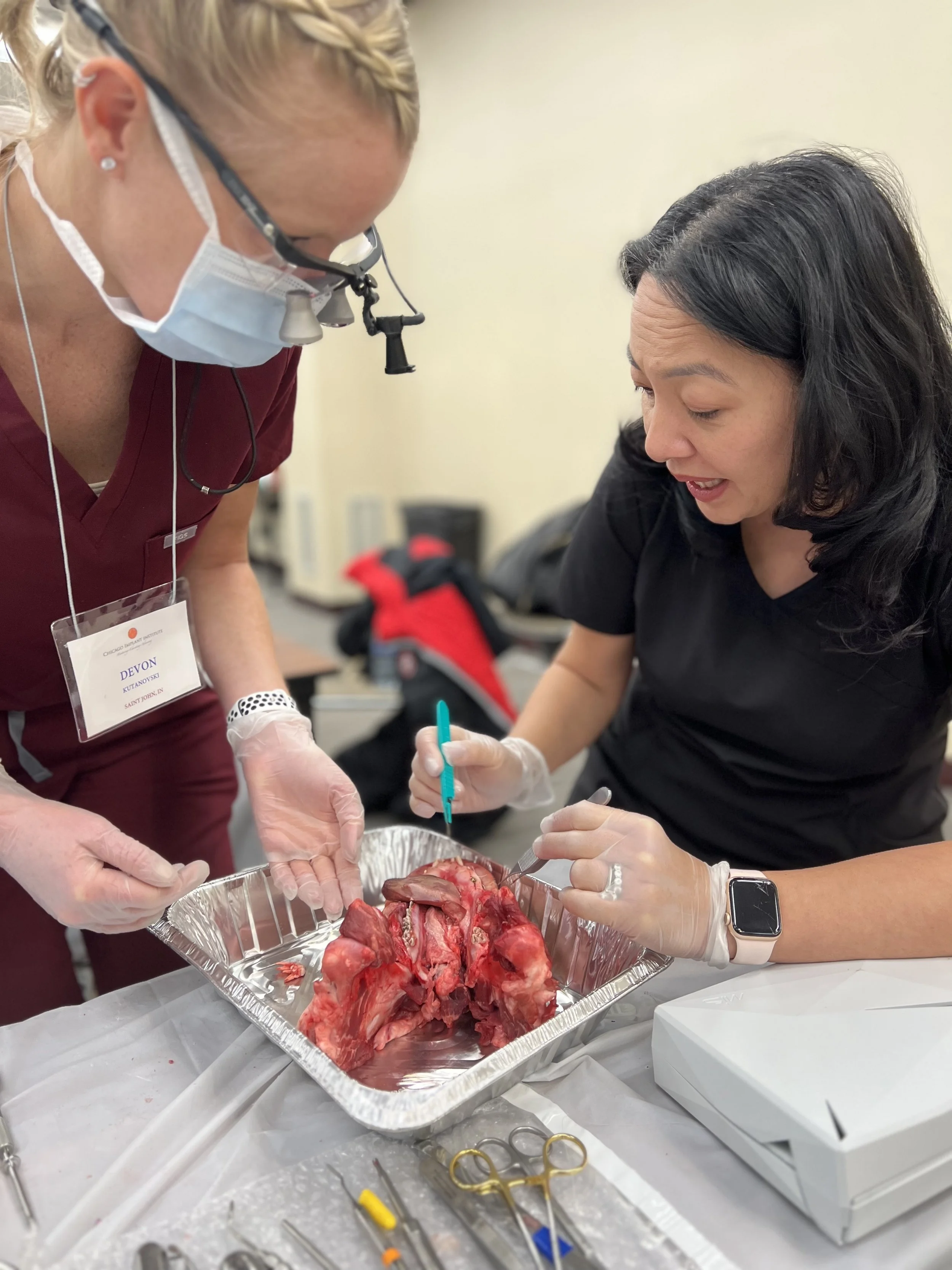 Two dentists examining and working on a pig jaw in a clinical training setting, one wearing a surgical mask and magnifying glasses, the other in black scrubs.