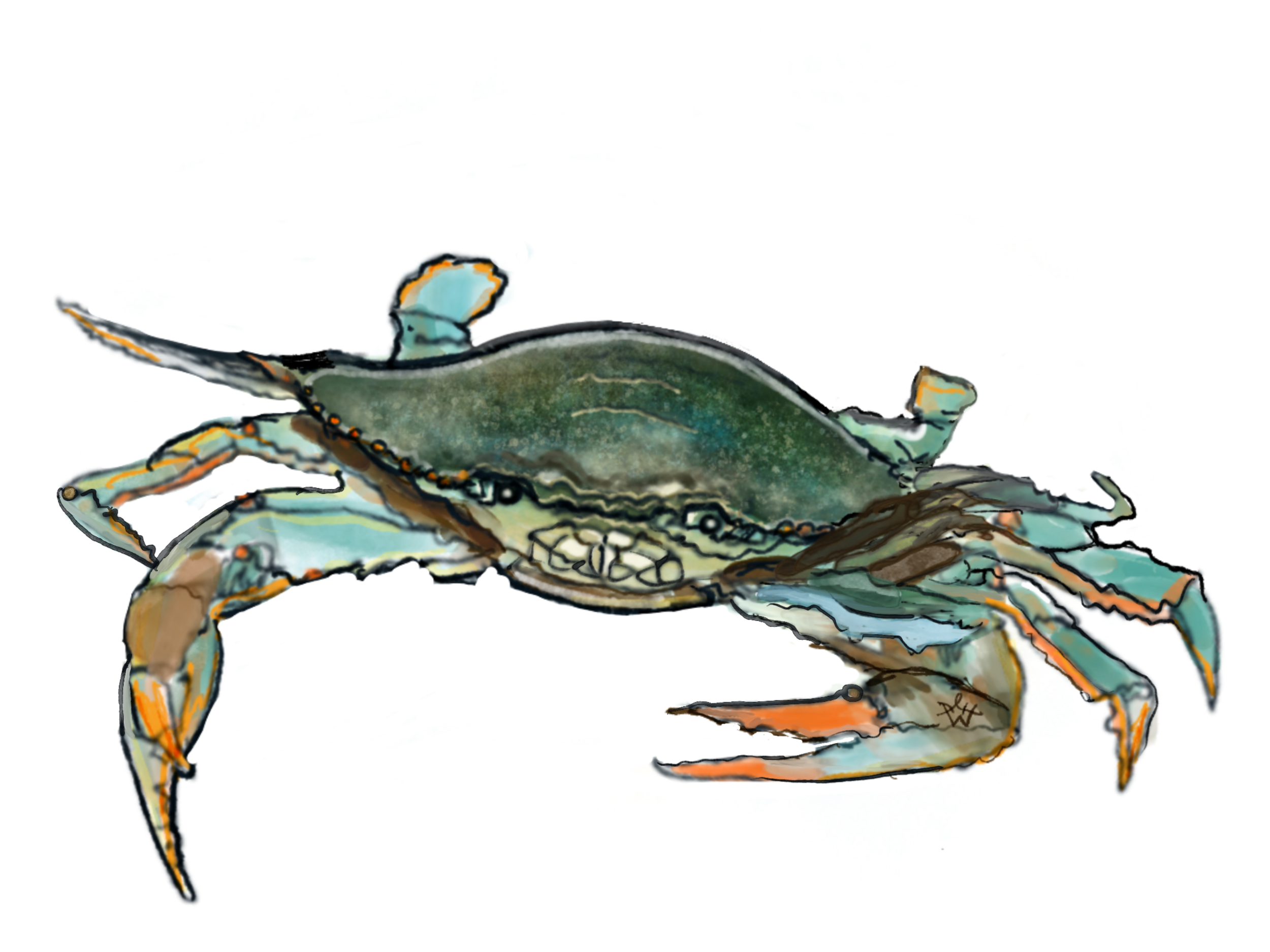 Chesapeake Children's Museum Performance