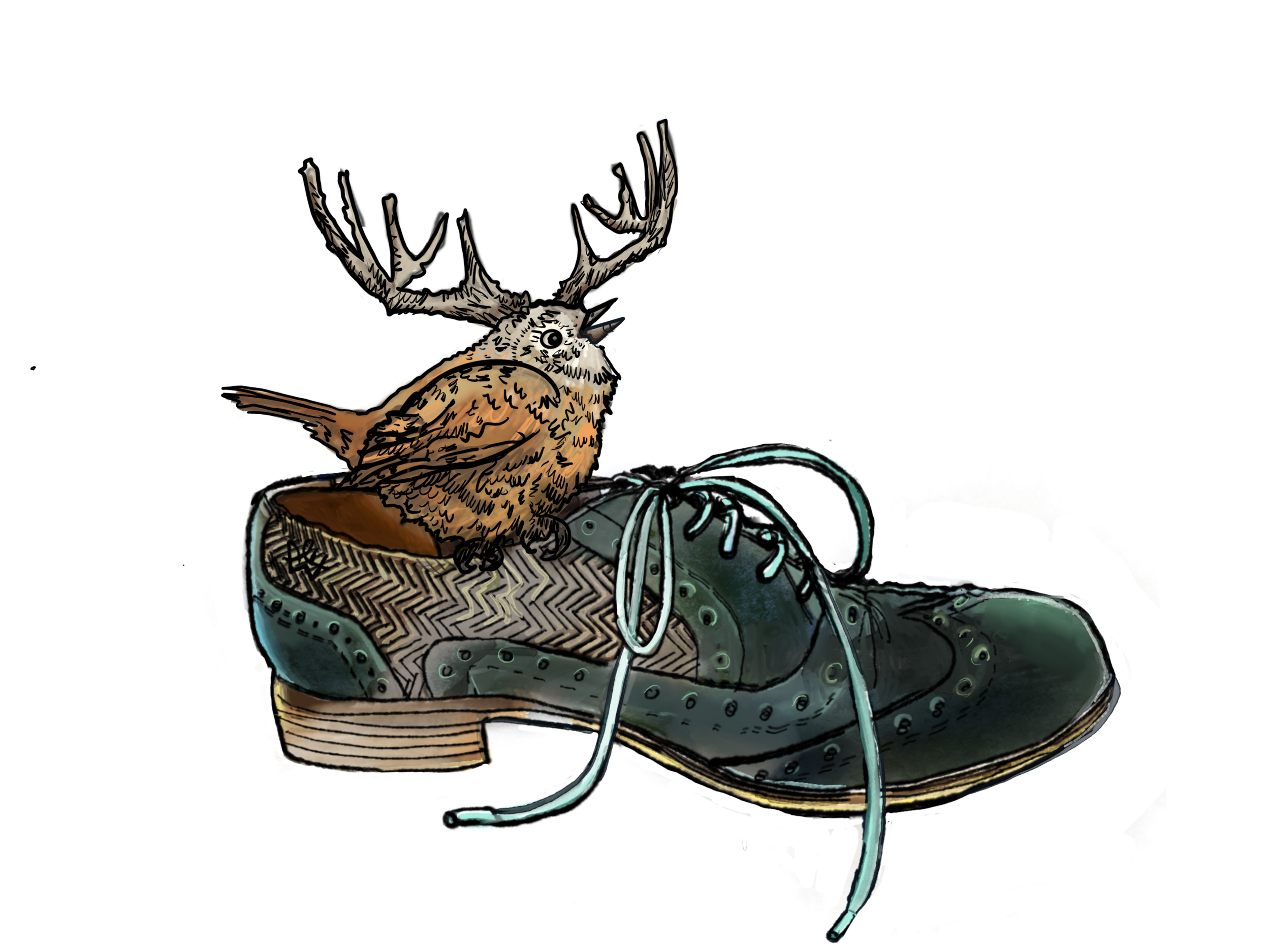 Dance Wren transparent png.png