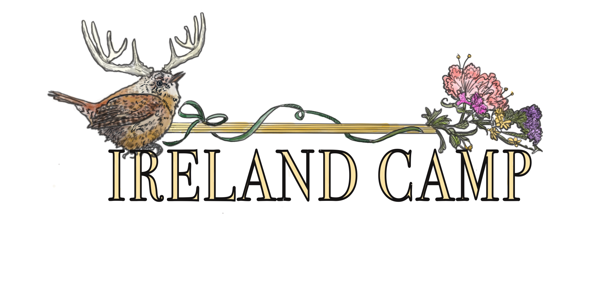 Ireland Camp Registration