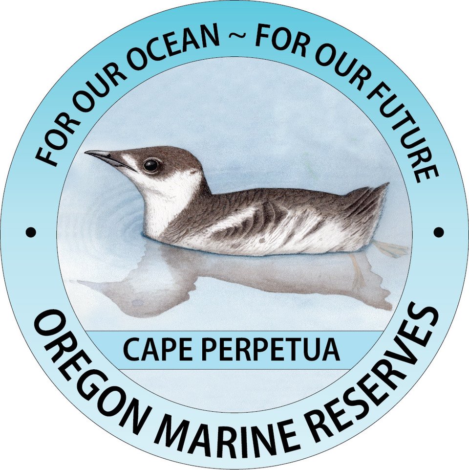 decal Cape Perpetua.jpeg