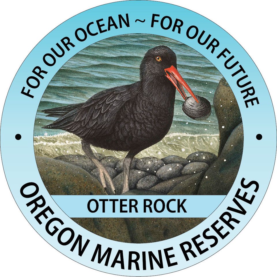decal Otter Rock.jpeg