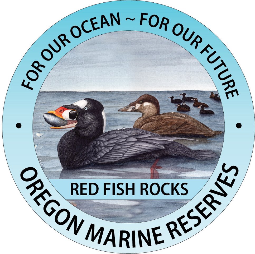 decaql Red Fish Rocks.jpeg
