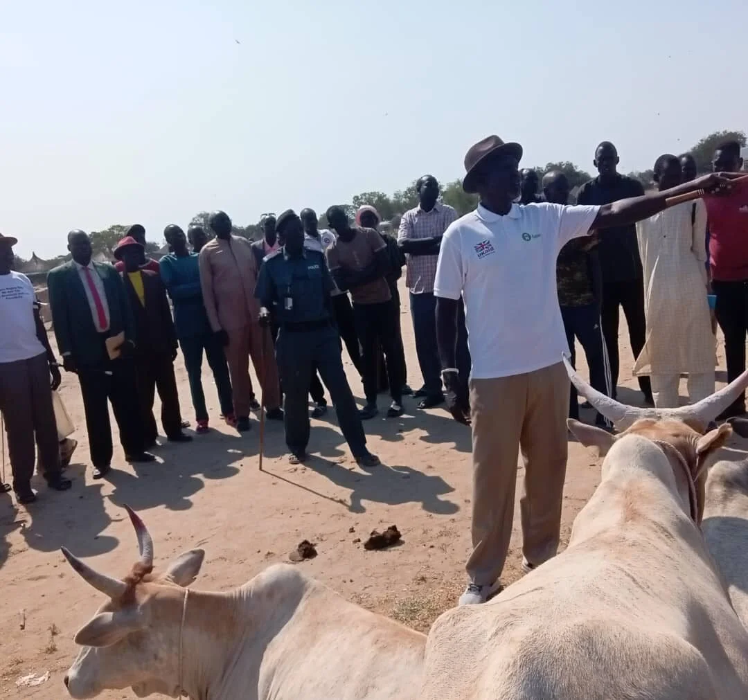 Navigating Challenges and Opportunities in Community Dissemination: Insights and Reflections