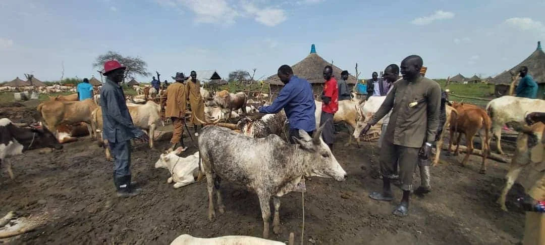 Local justice and accountability between Dachuek and Ayual