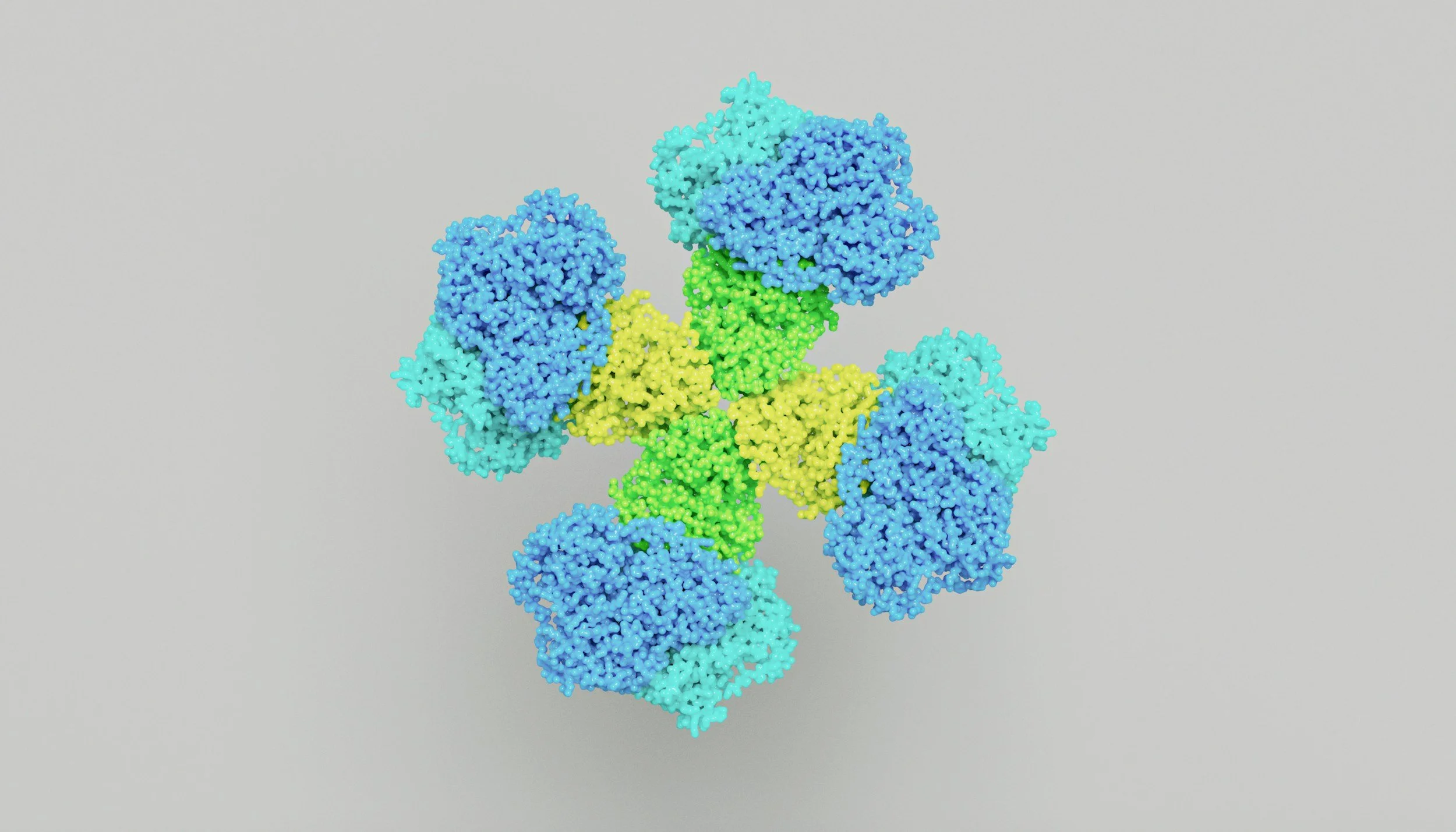 Colorful molecular structure of a protein model with blue, cyan, yellow, and green sections on a gray background.