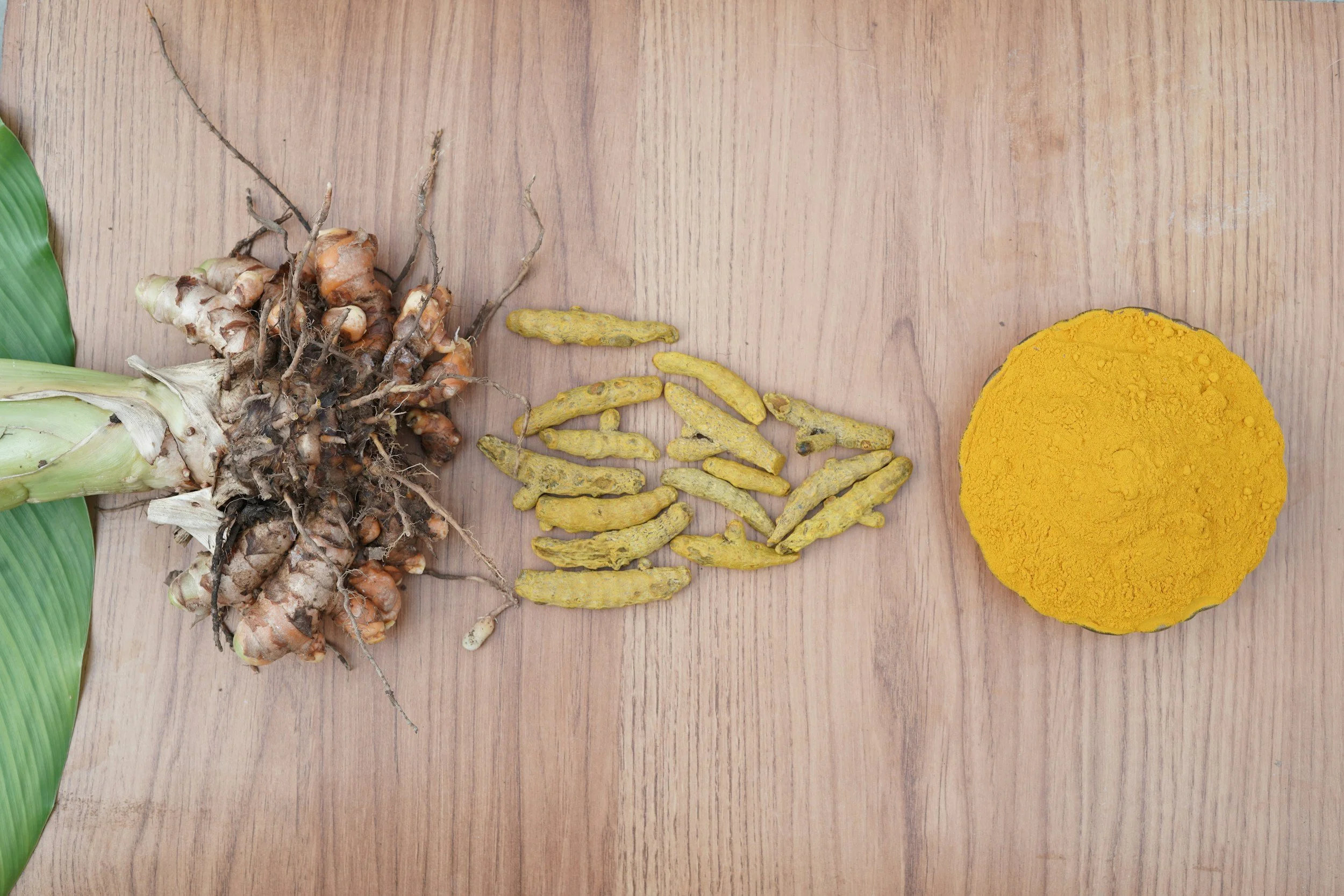 Fresh ginger root, dried turmeric slices, and a turmeric powder sphere on a wooden surface.