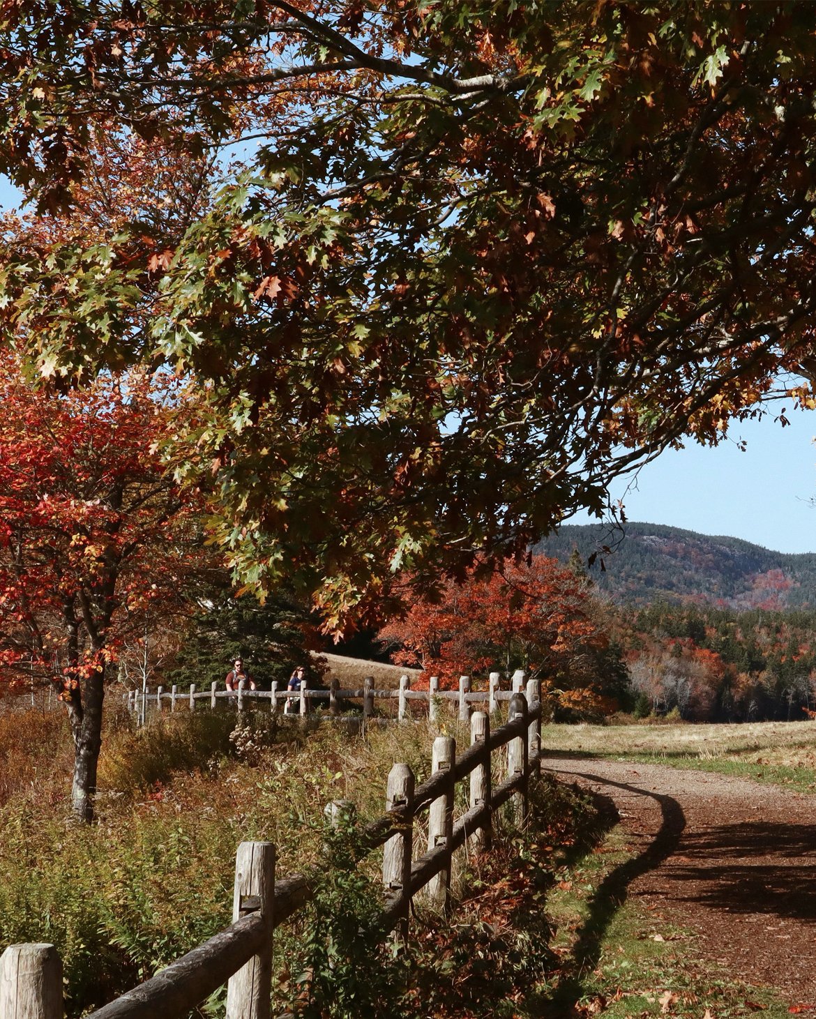 path1.jpg