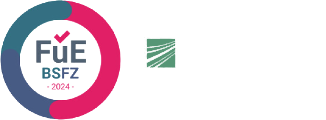 Logo des Bundeselterngeld- und Elternzeitgesetzes (BEEG) mit der Abkürzung 'FüE BSFZ 2024' in einem kreisförmigen Design in den Farben Blau, Pink und Grün.