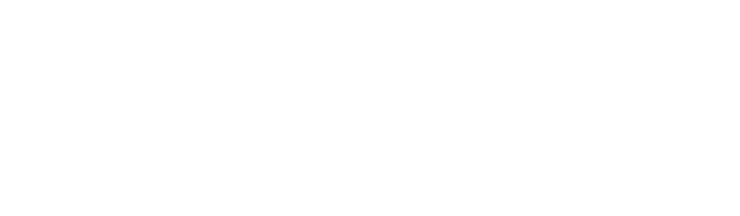 Close-up of the shoes text logo in black and white