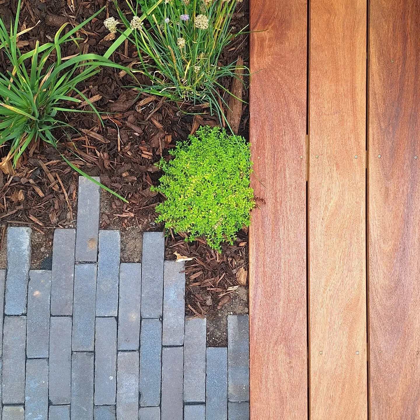 Broken edges, golden thyme, sanded clay pavers and rich, smooth cumaru decking. This garden's all about the textures, and is a sensory delight for the barefoot walker.

Professional photos to come next year... 

@roundwoodofmayfield
@_londonstone
@pa
