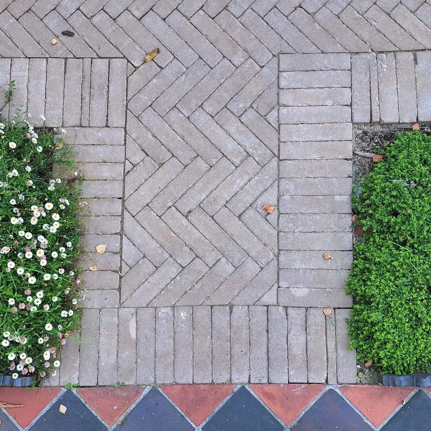 Front garden in #cambridge