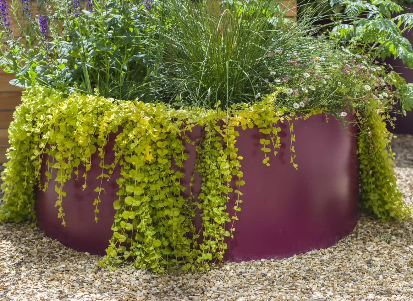 Our Colour Pop Garden making us which it was still summer...