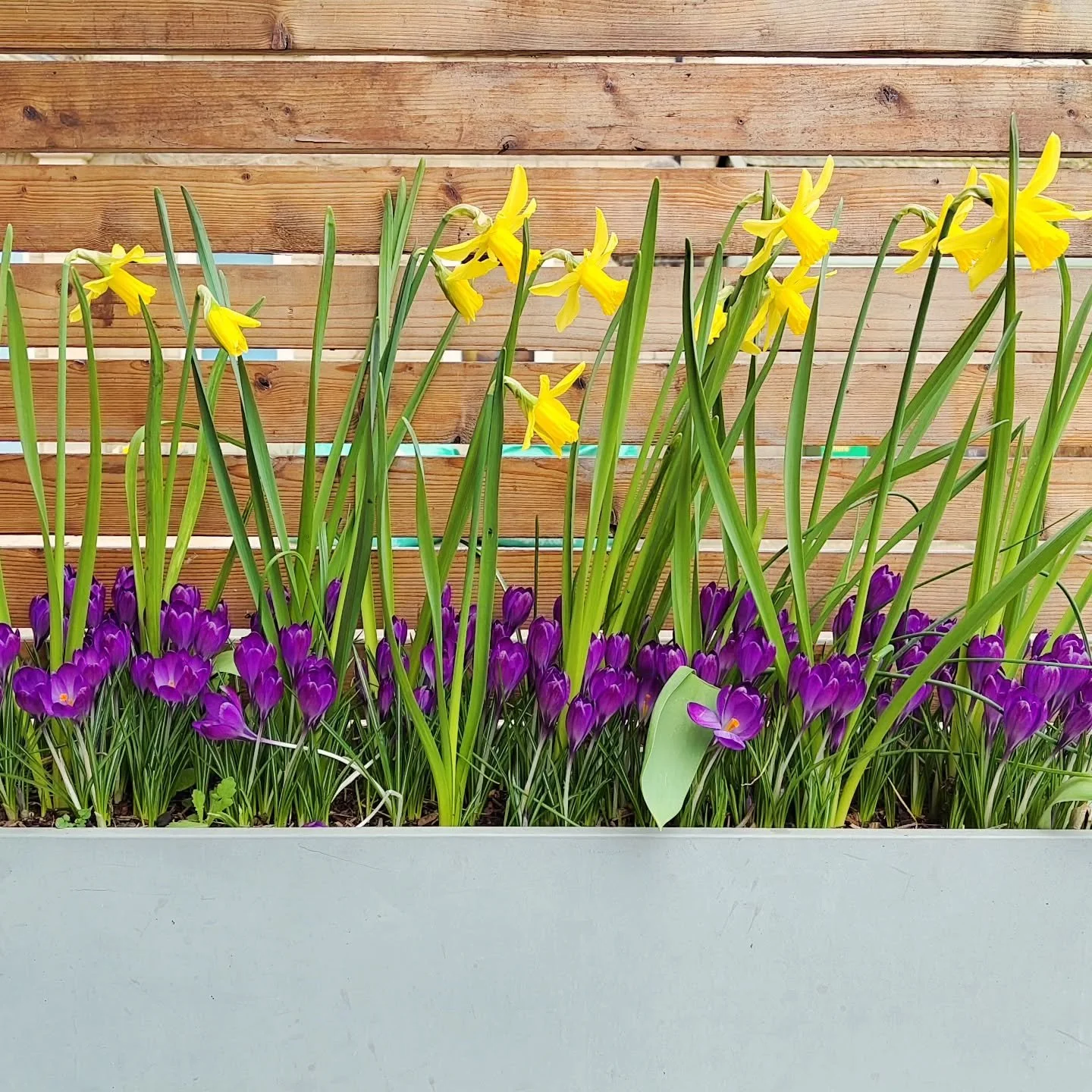 Well hello there spring 👋🏻 (about time you showed up to the party...😏)