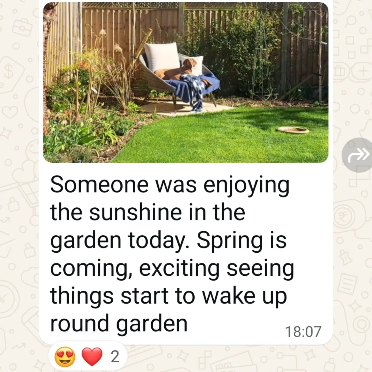 Great to hear our client is enjoying the garden we completed last November!