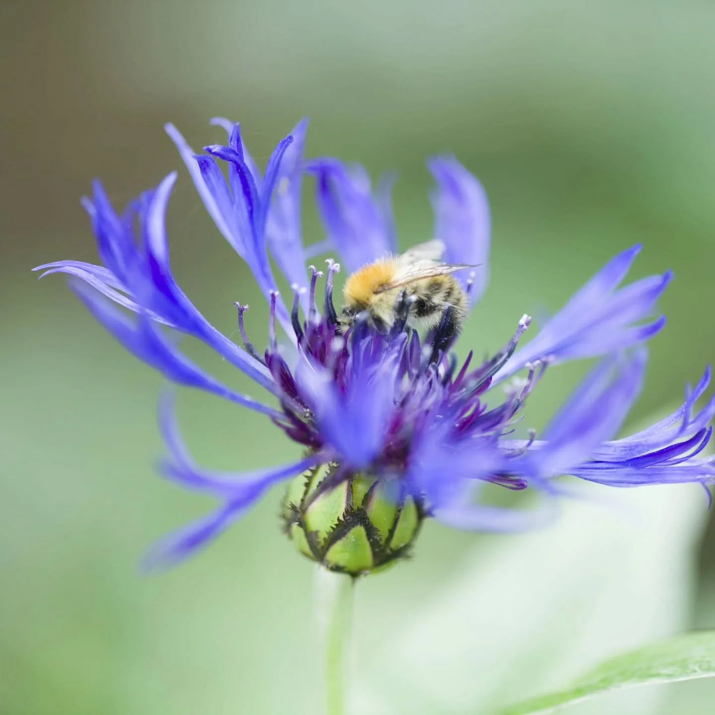 Why spring is the right time to design your garden, and other fascinating bits of unrequested info on our blog. You're welcome...
Link in bio