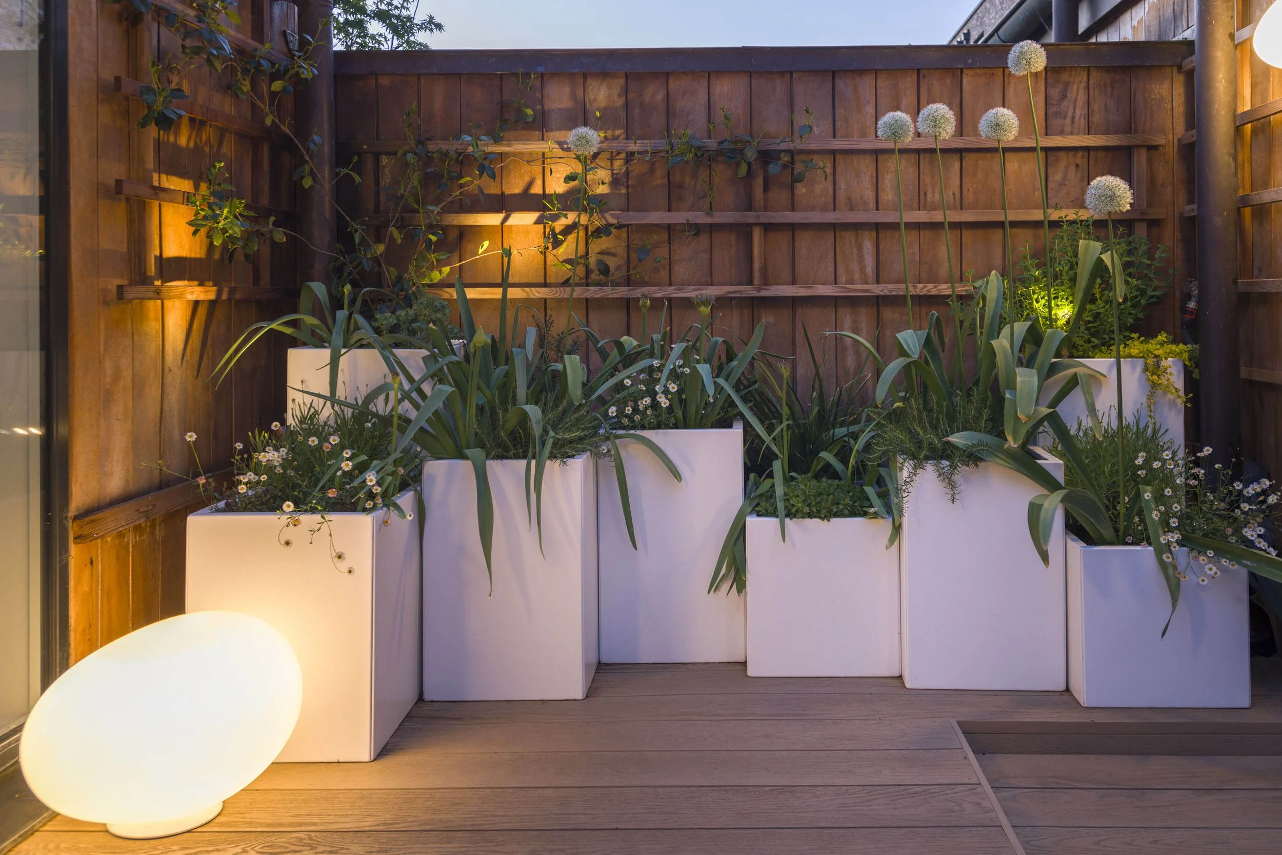 A Minimalist Garden