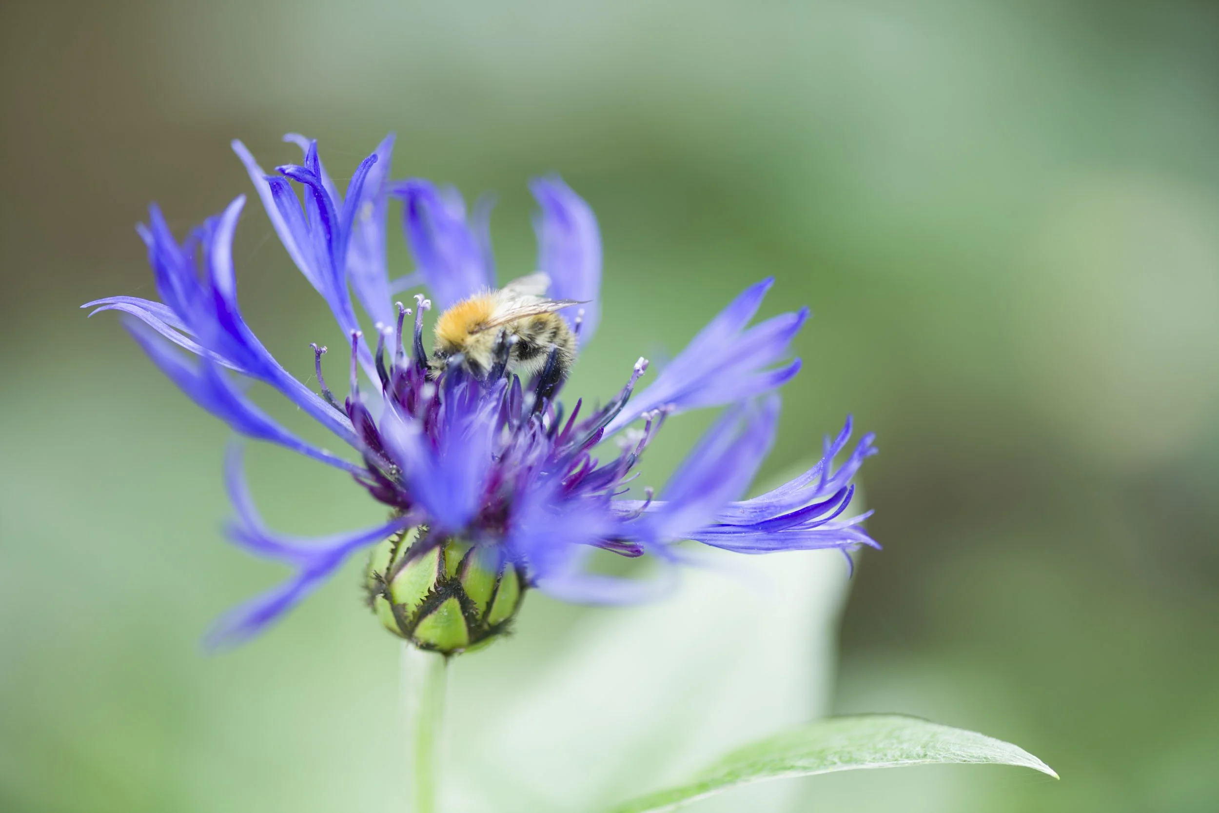 Why Spring is the Best Time to Plan a Garden Redesign