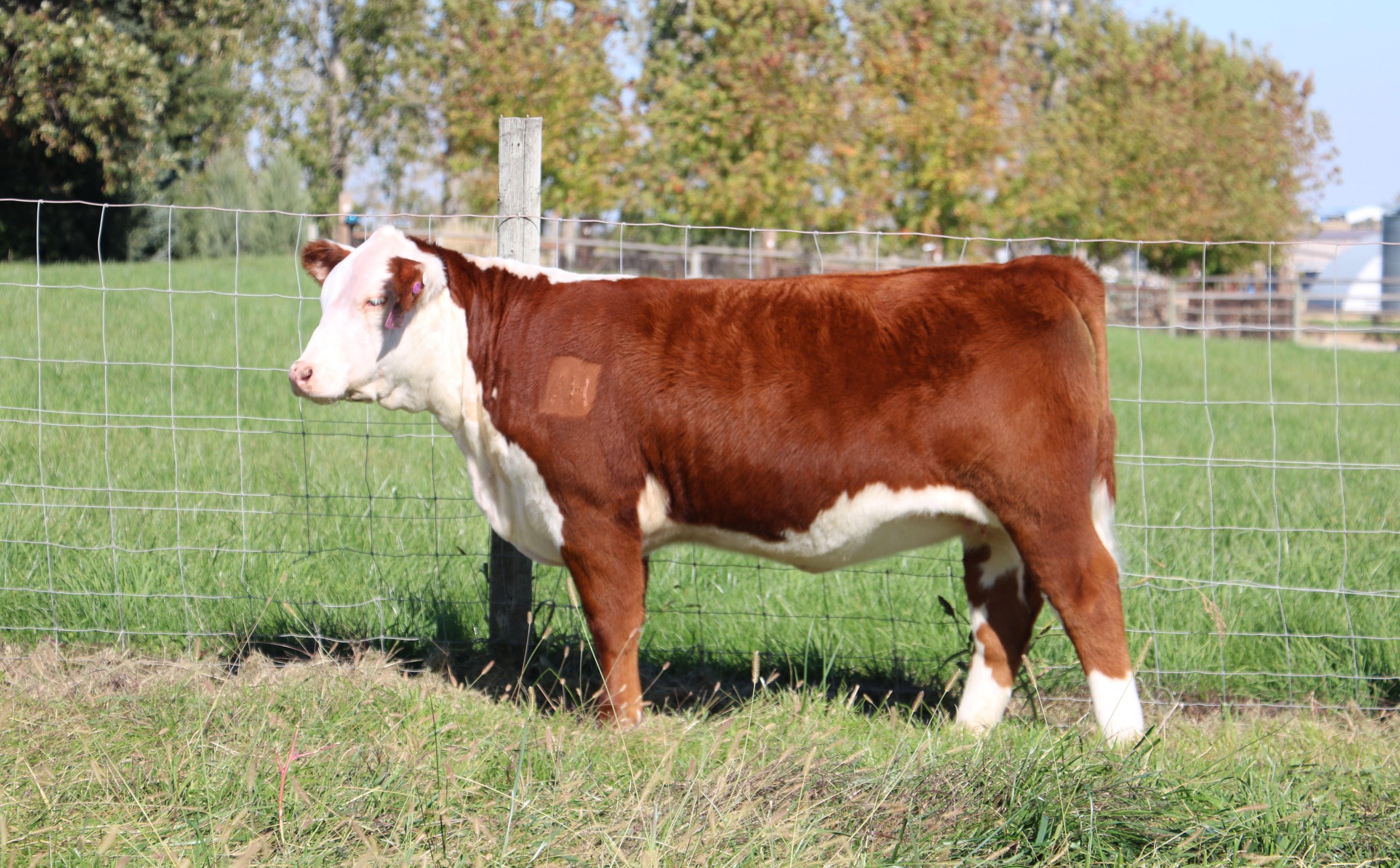 Dixie 5122 ET Heads to Her Next Chapter