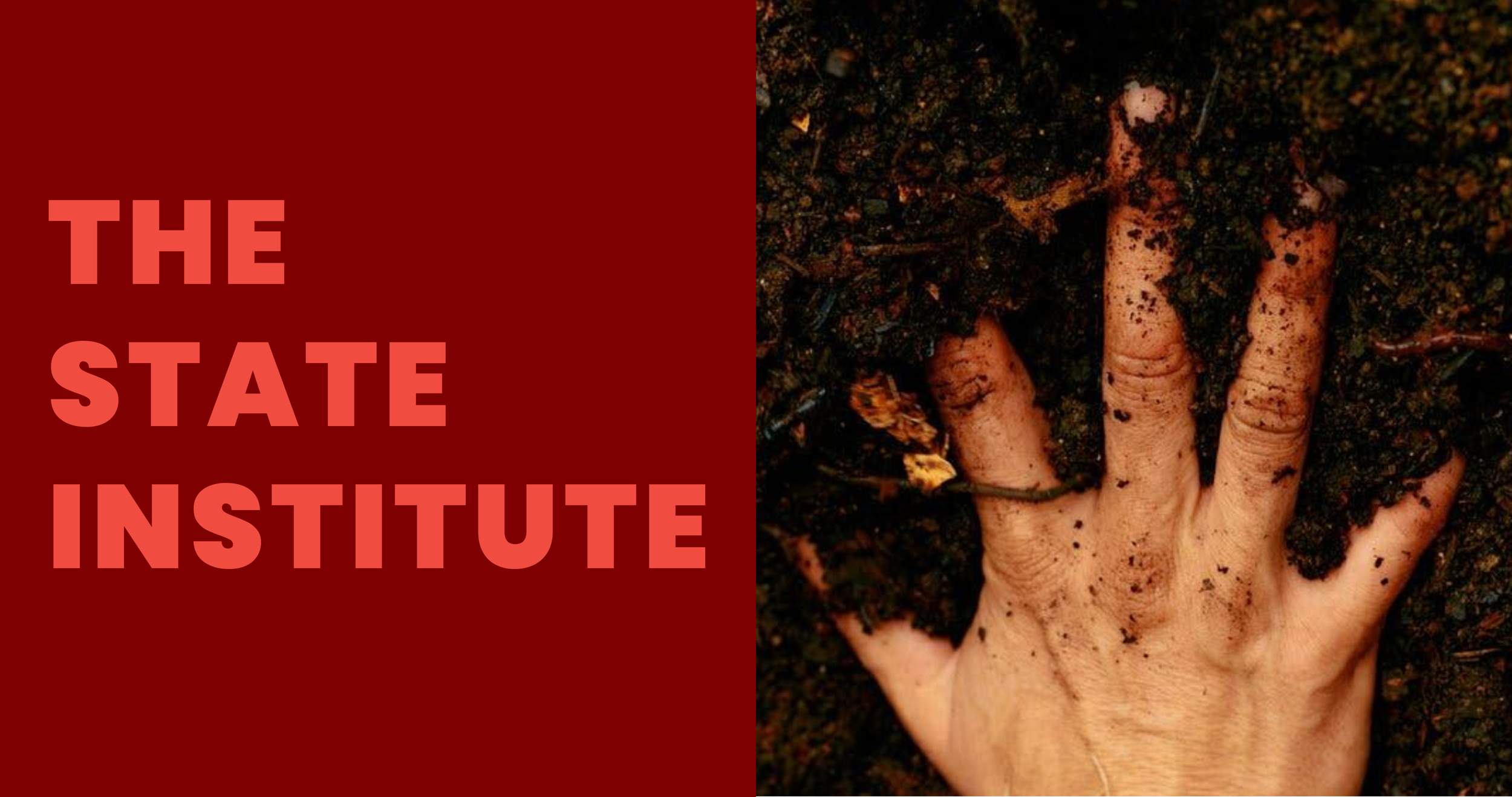 The State Institute Button.png