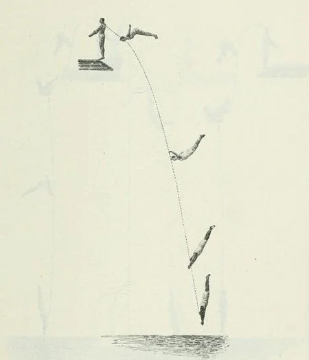 Teacher Mentorship Program