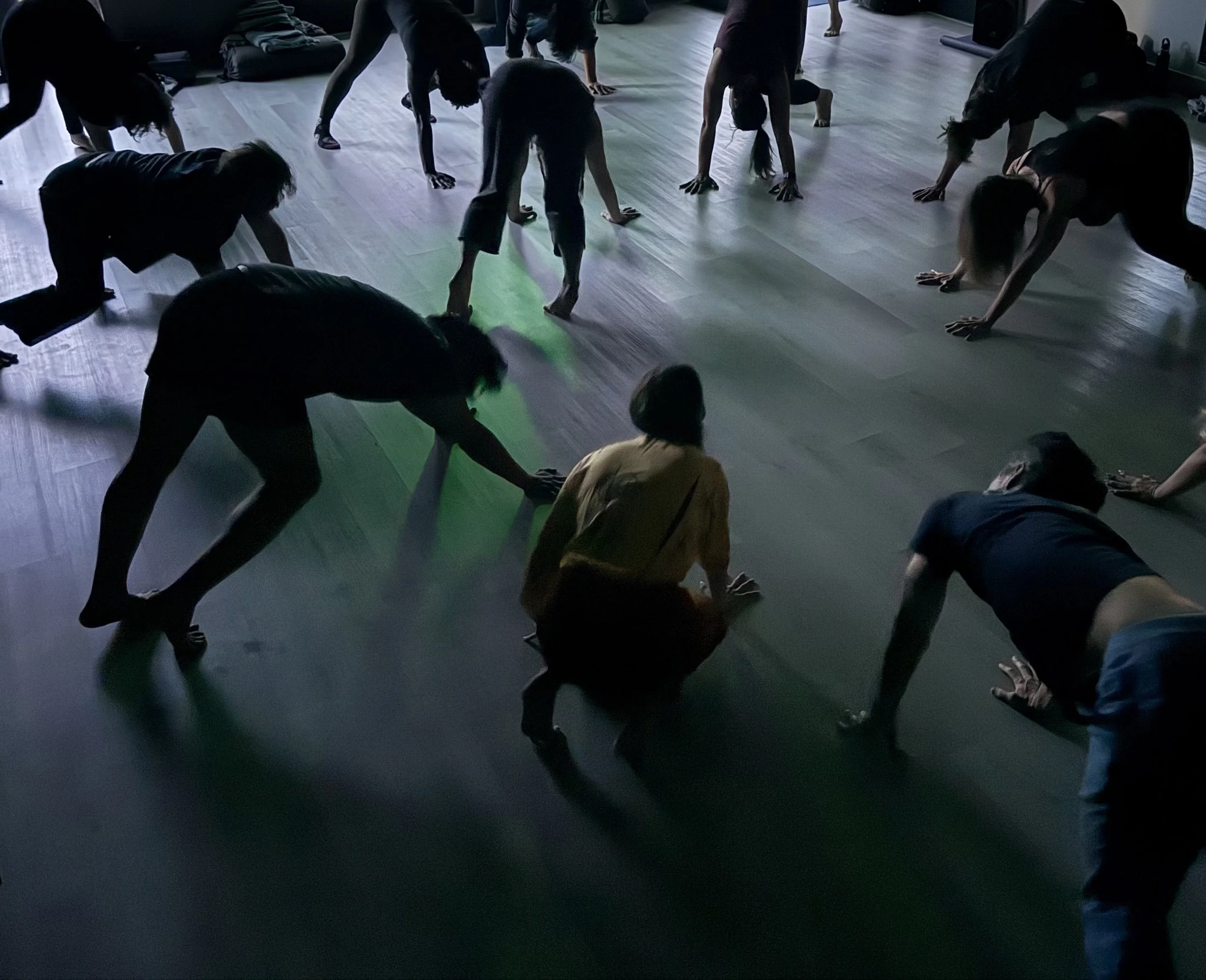 Breath Science & Somatic Modalities for Public Health  PRACTITIONER TRAINING: LEVEL 1